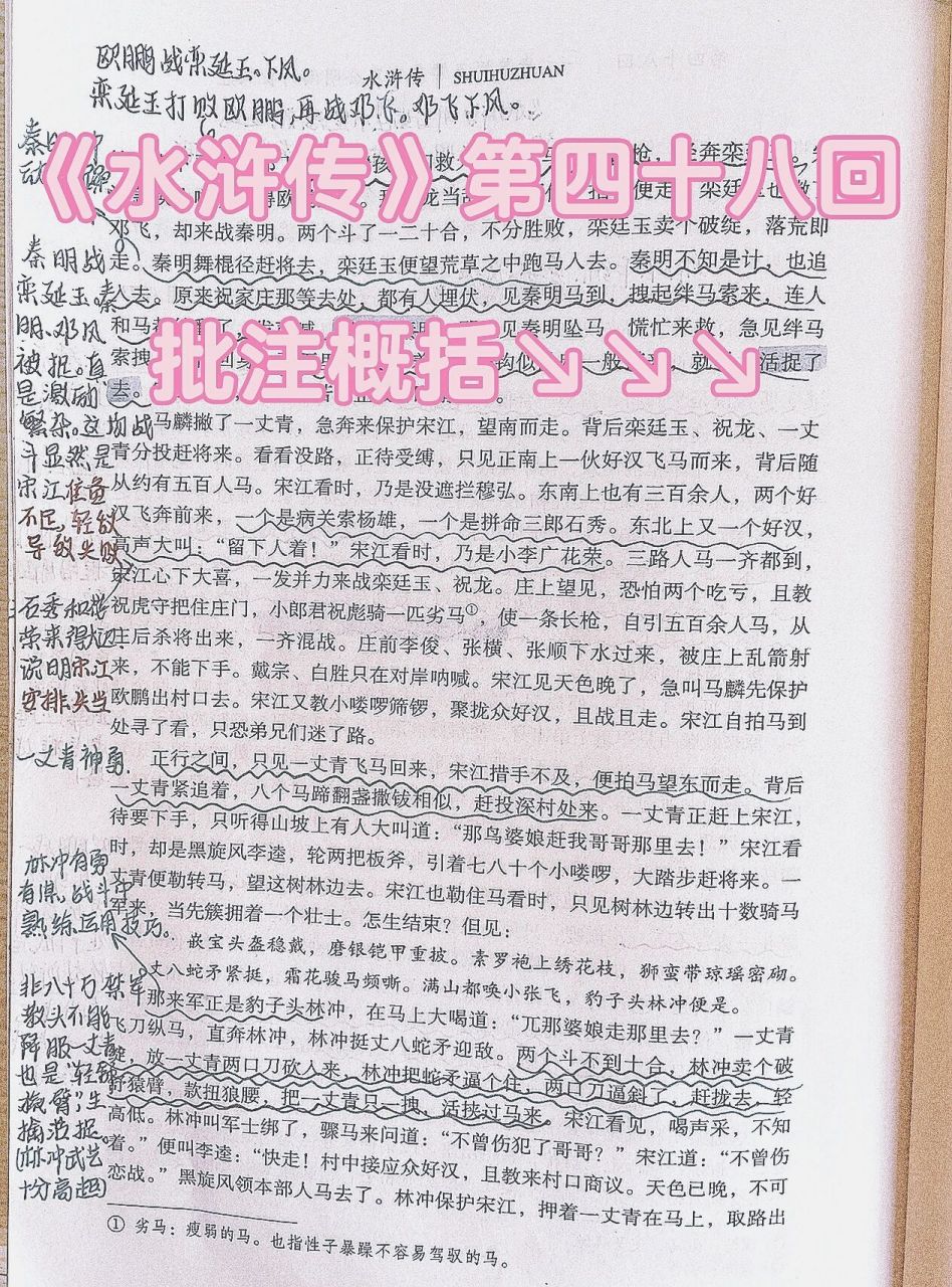 《水浒传》批注概括第四十八回,阅读笔记94～ 水浒传—一丈青单捉王