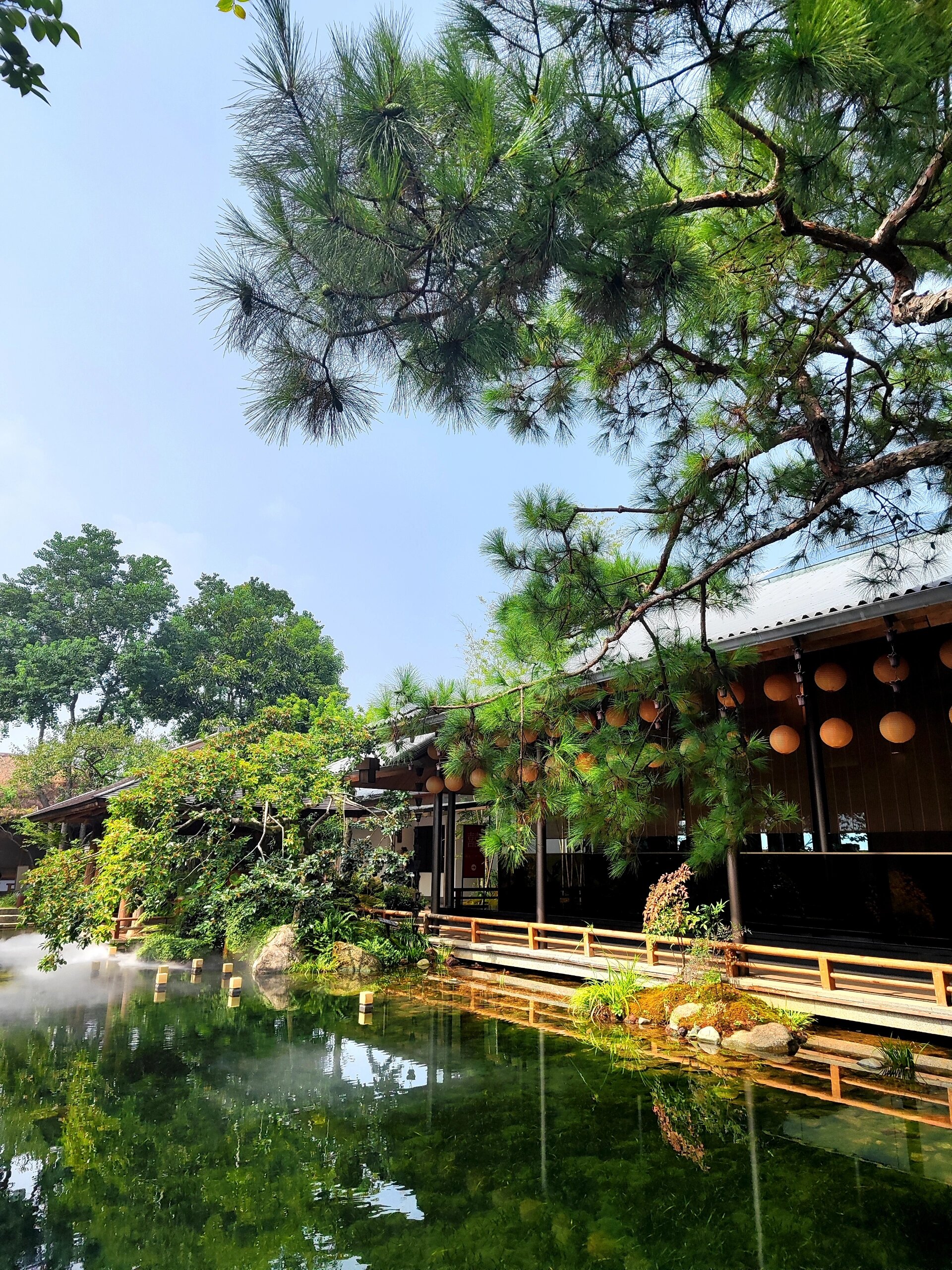 湘潭晴溪庄园,庭院环境确实很好拍📸 在小城市,真是吃不完的席