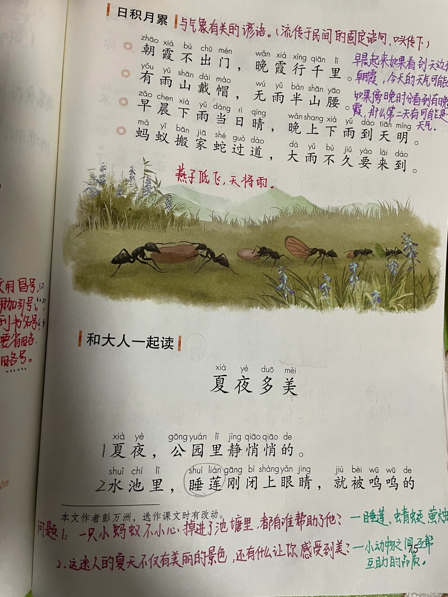 一下语文《和大人一起读》夏夜多美