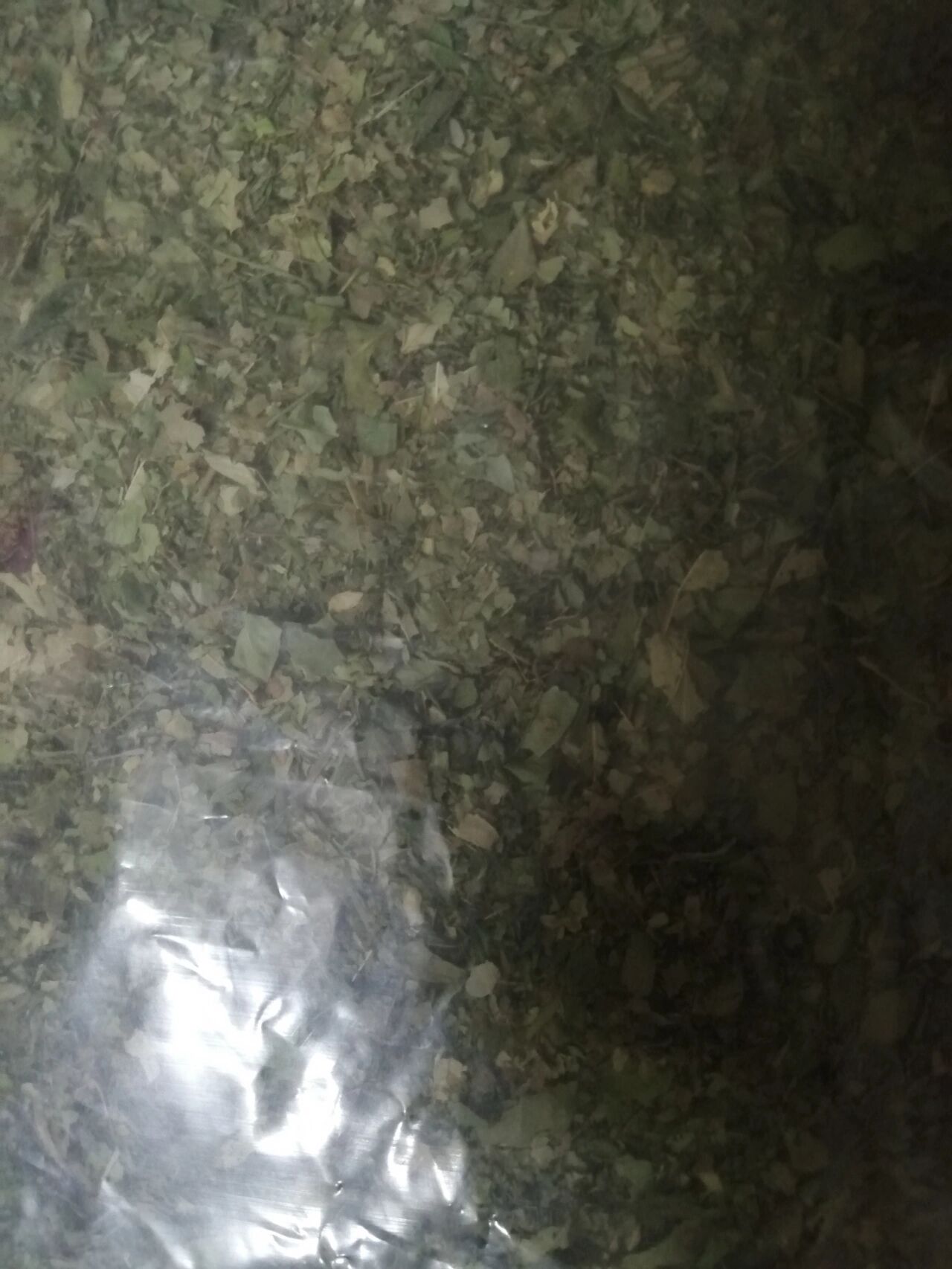 非常严重的都行不用去医院看和住院无名肿毒恶毒大疮