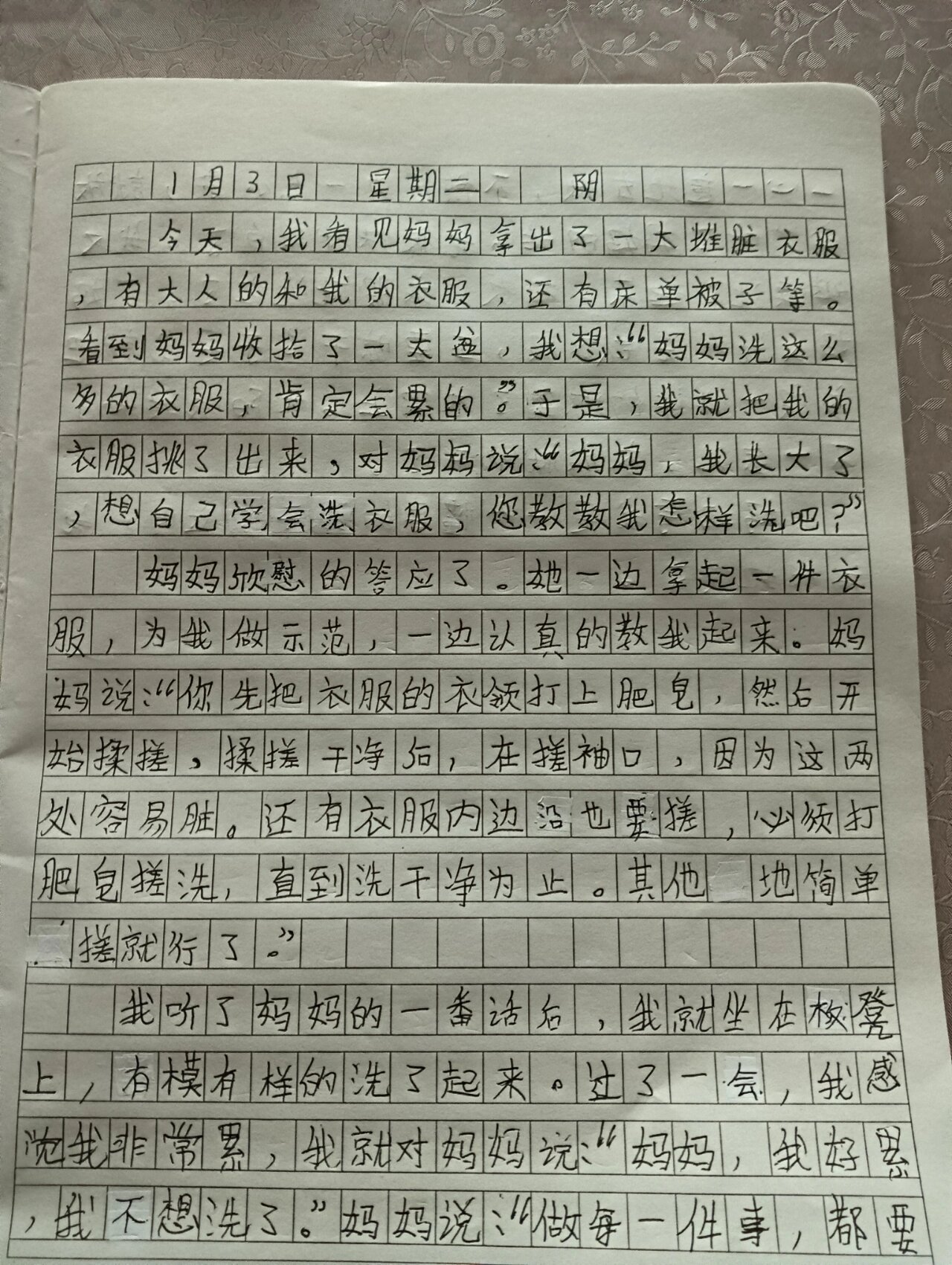 抄一篇日记三年级上册图片