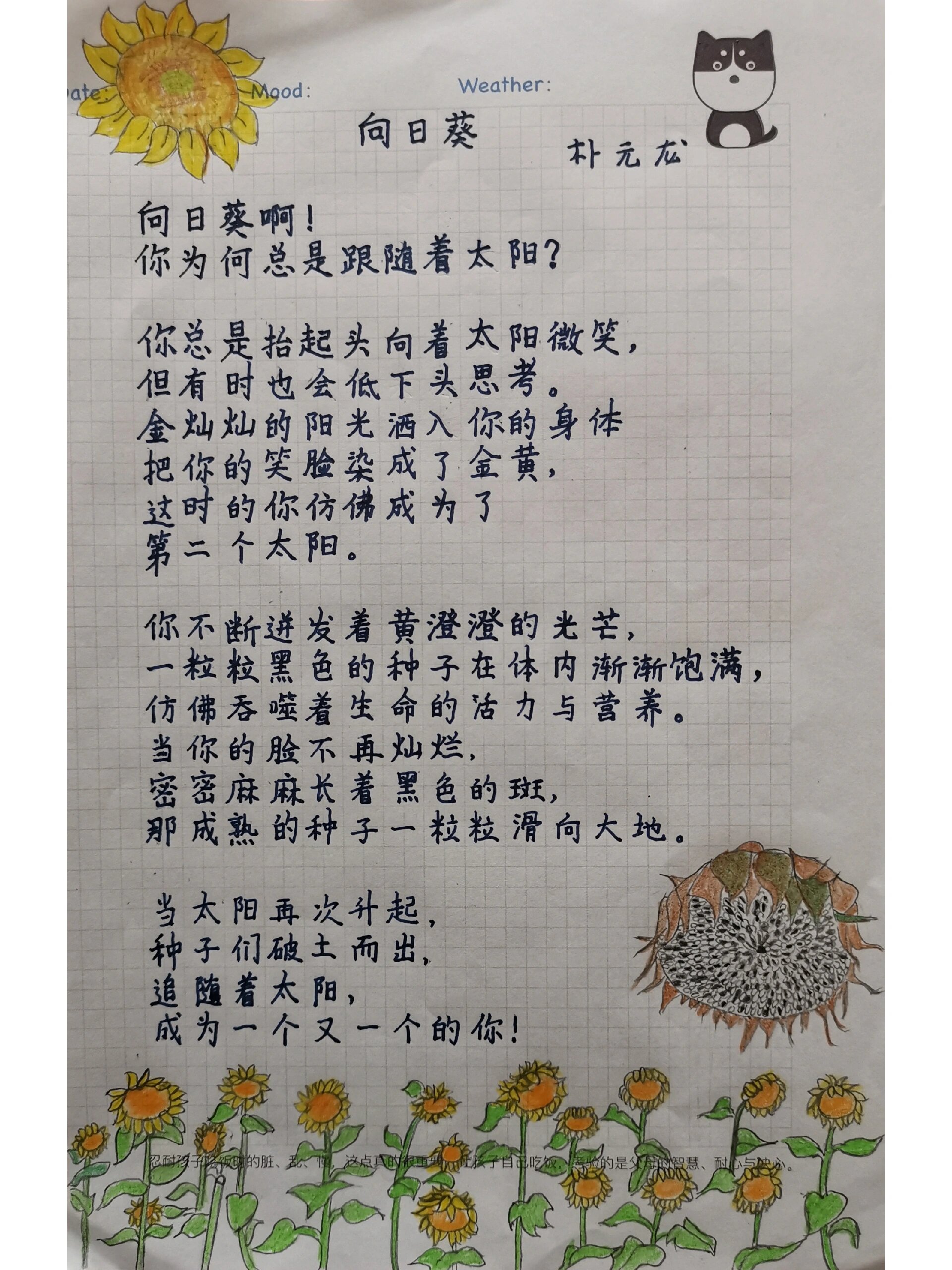 现代诗《向日葵》