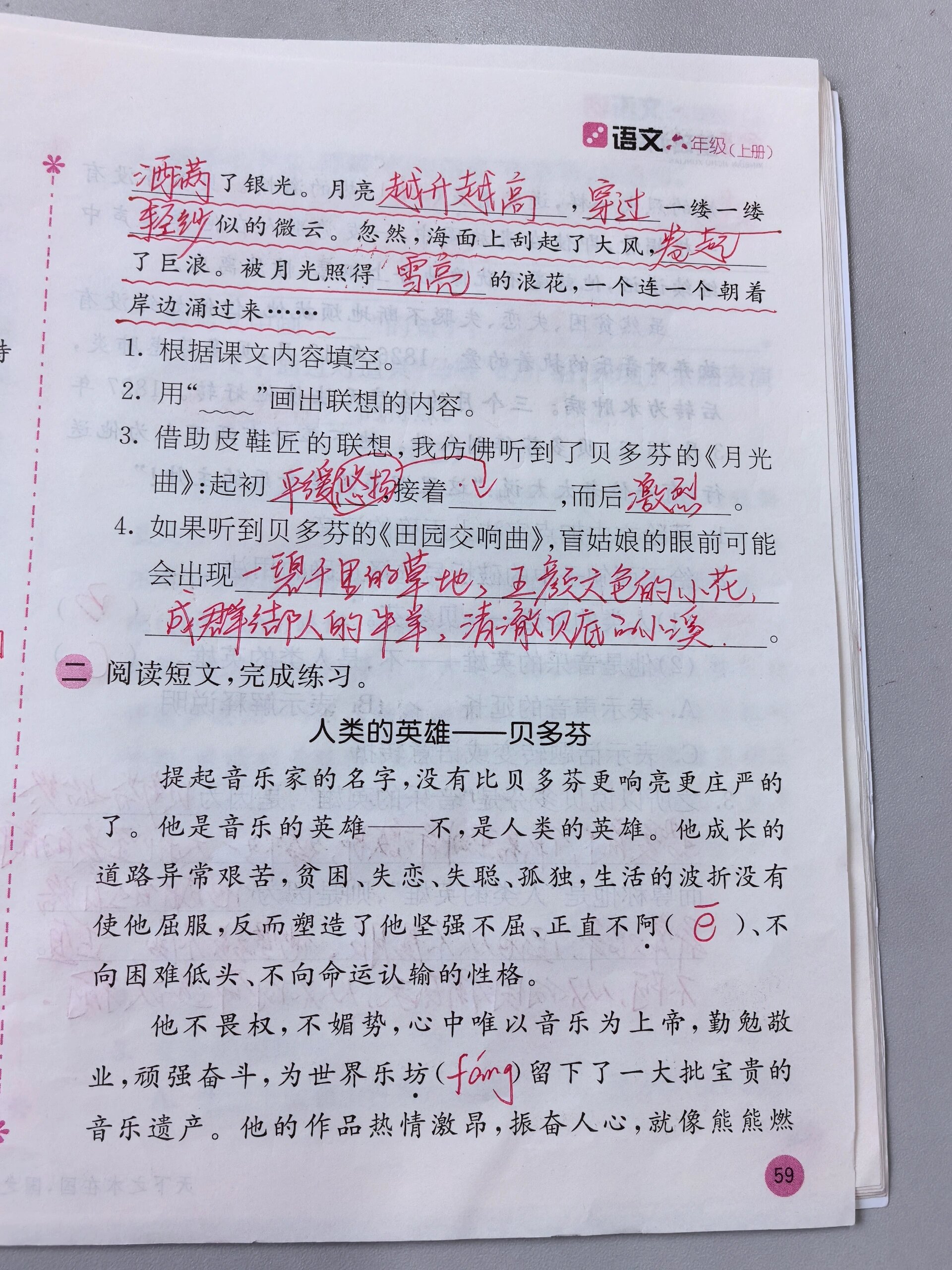 六上小学语文基础训练|23《月光曲》