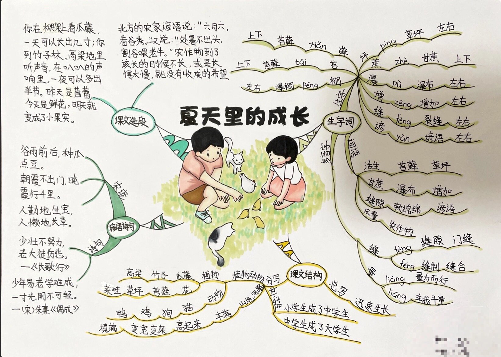 夏天里的成长思维导图