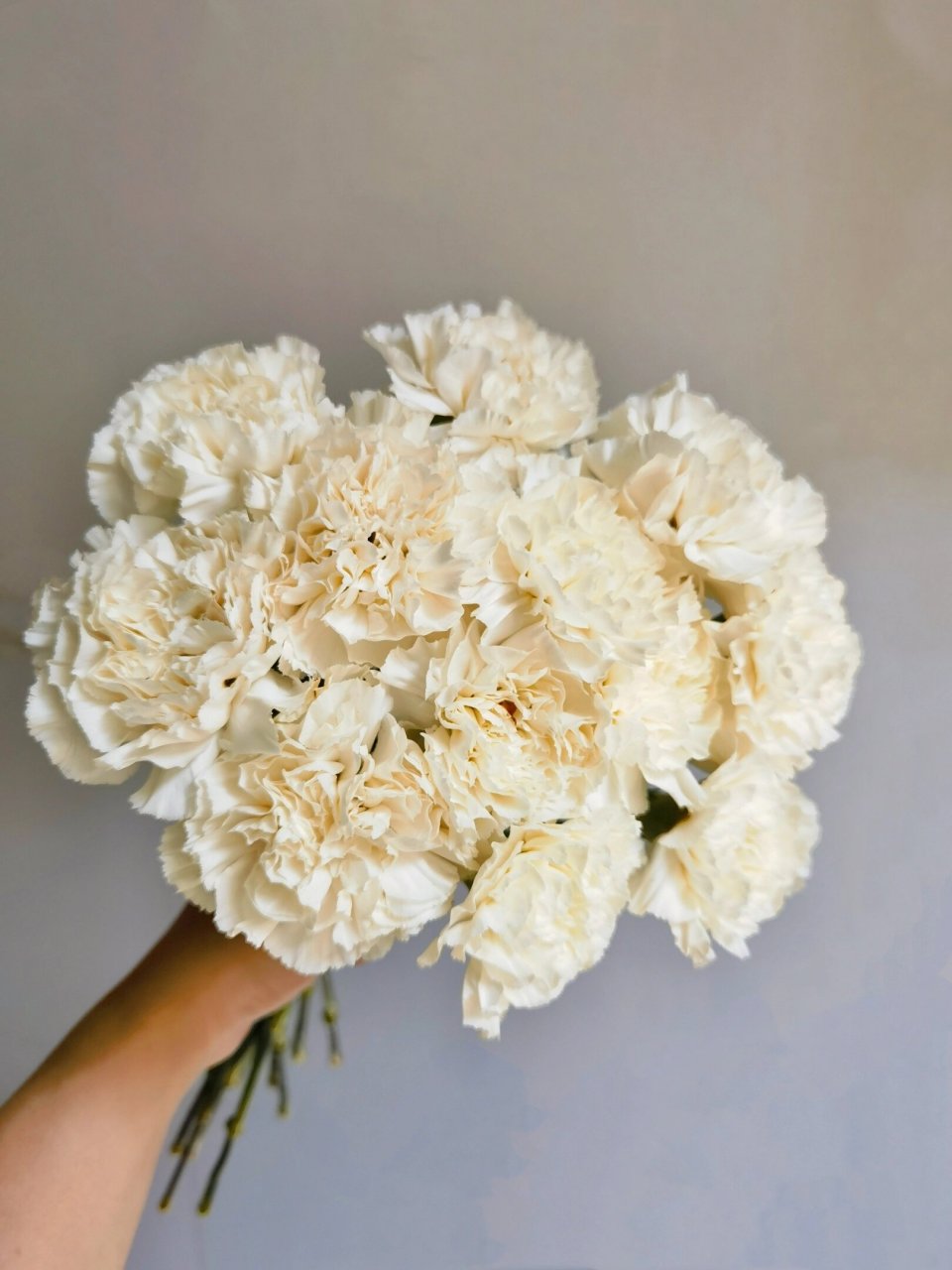 粉水晶·康乃馨 粉水晶, 它的颜色是奶油色, 还带着一丝粉, 类似