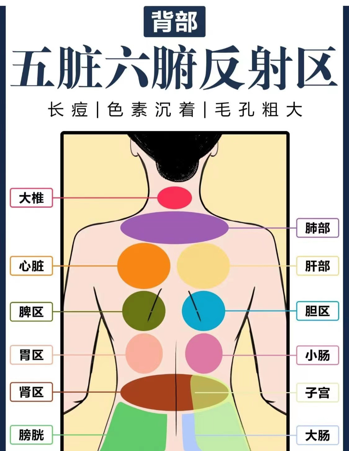 背部淤堵对应反射区图图片