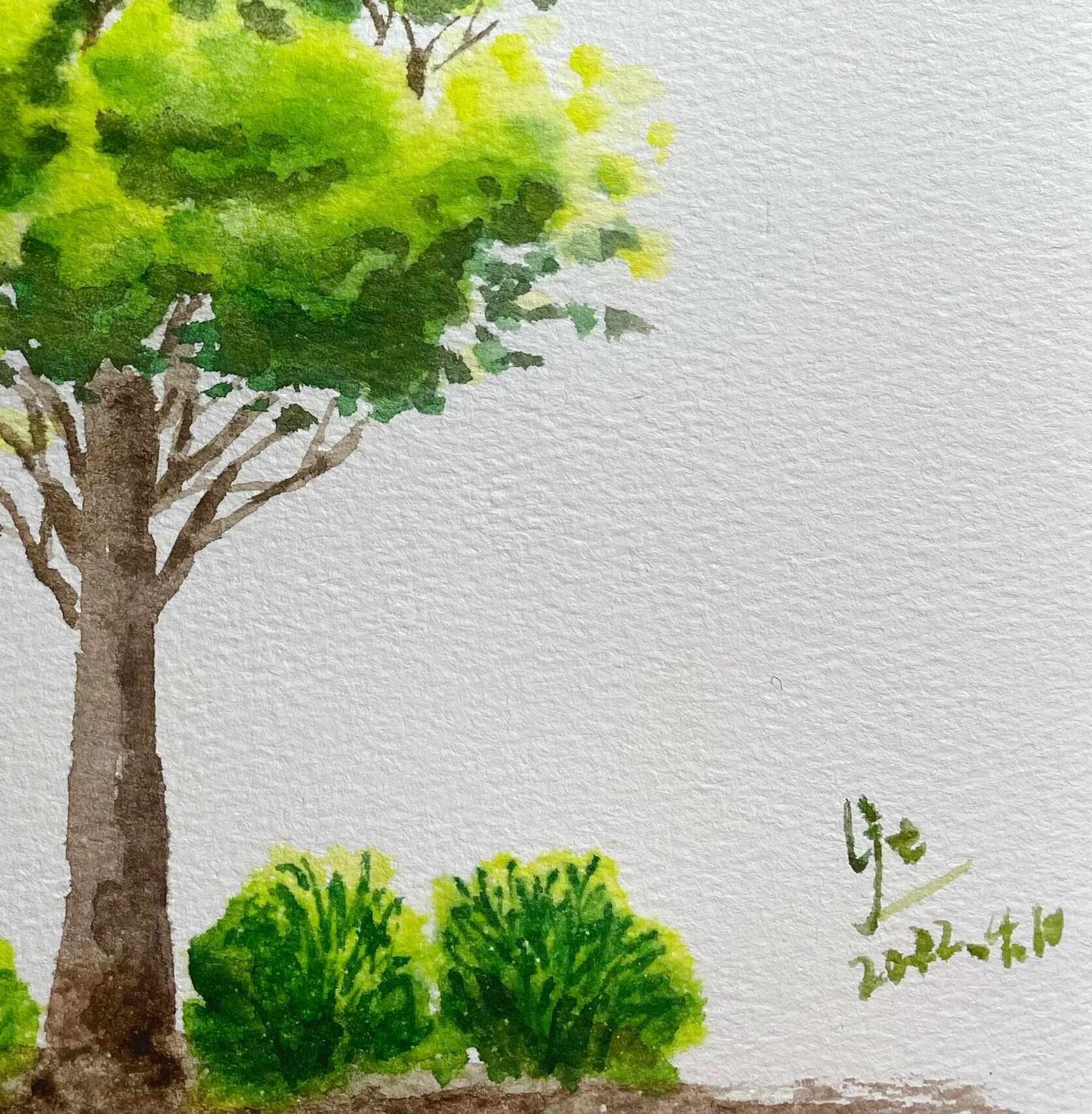 水彩系列———绿树成荫 第一次跟着视频画树🌳 喜欢这春意盎然的