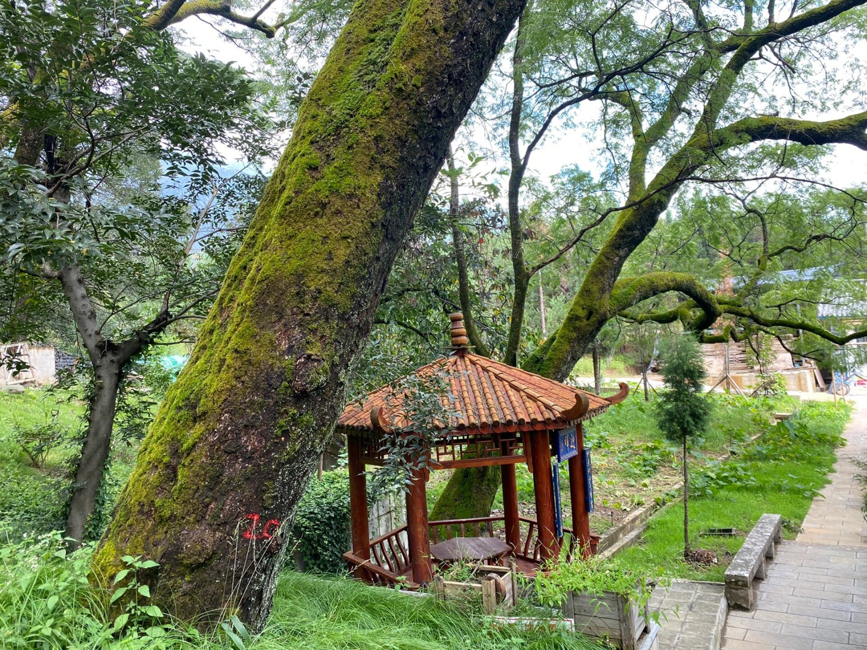 鹤庆龙华十八寺遗址图片