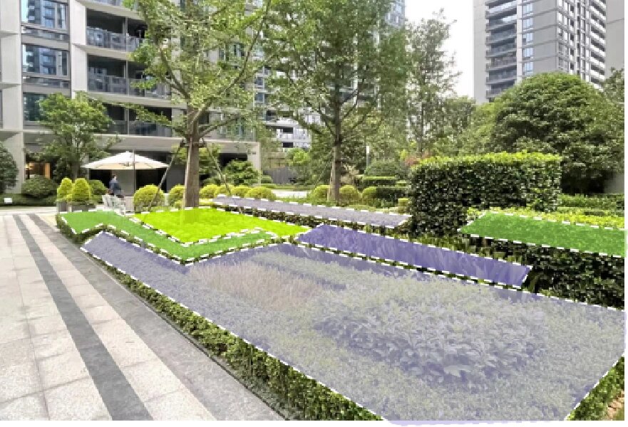 植物搭配—规则式种植|绿篱带