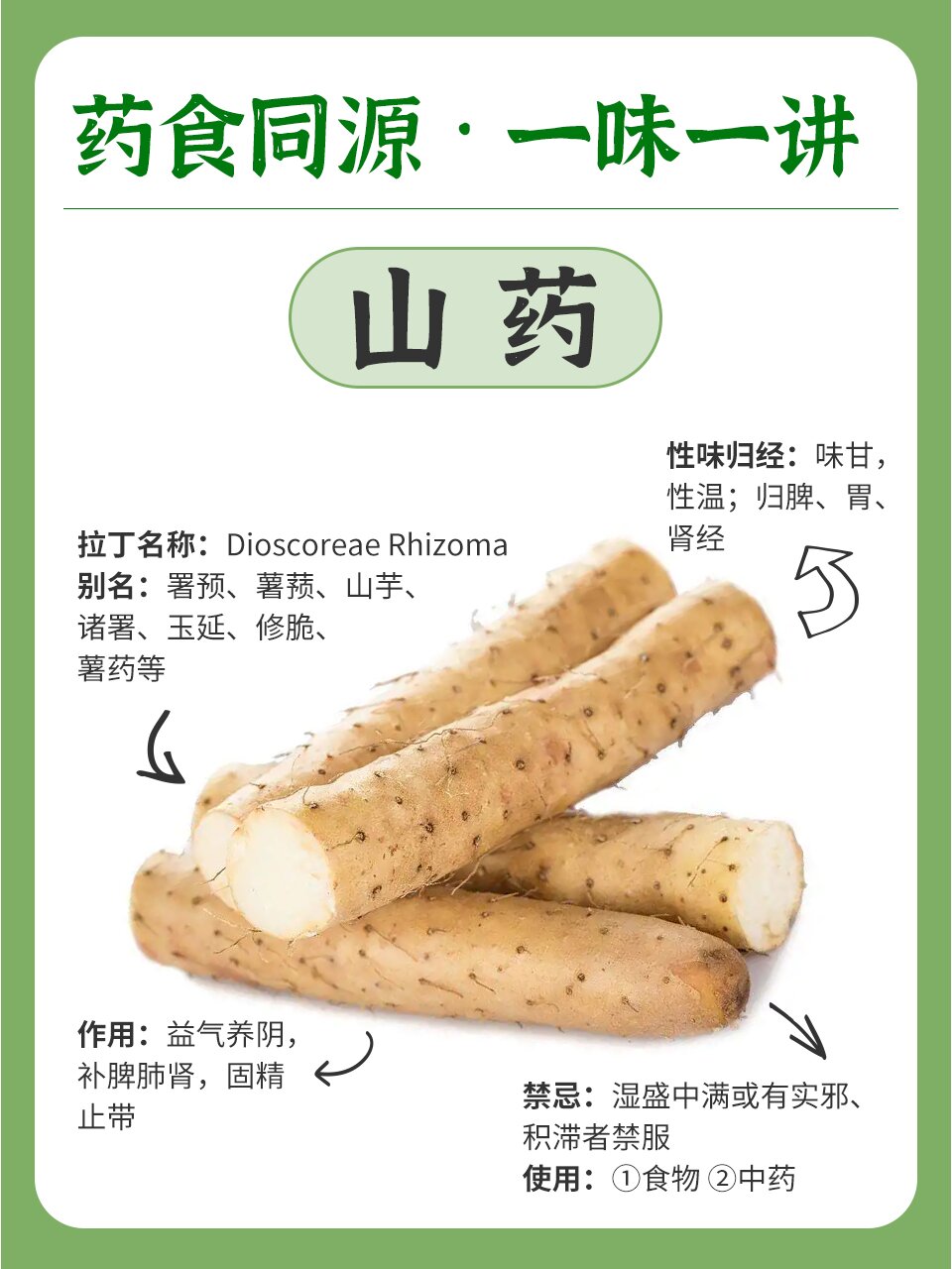 长山药的作用与功效图片