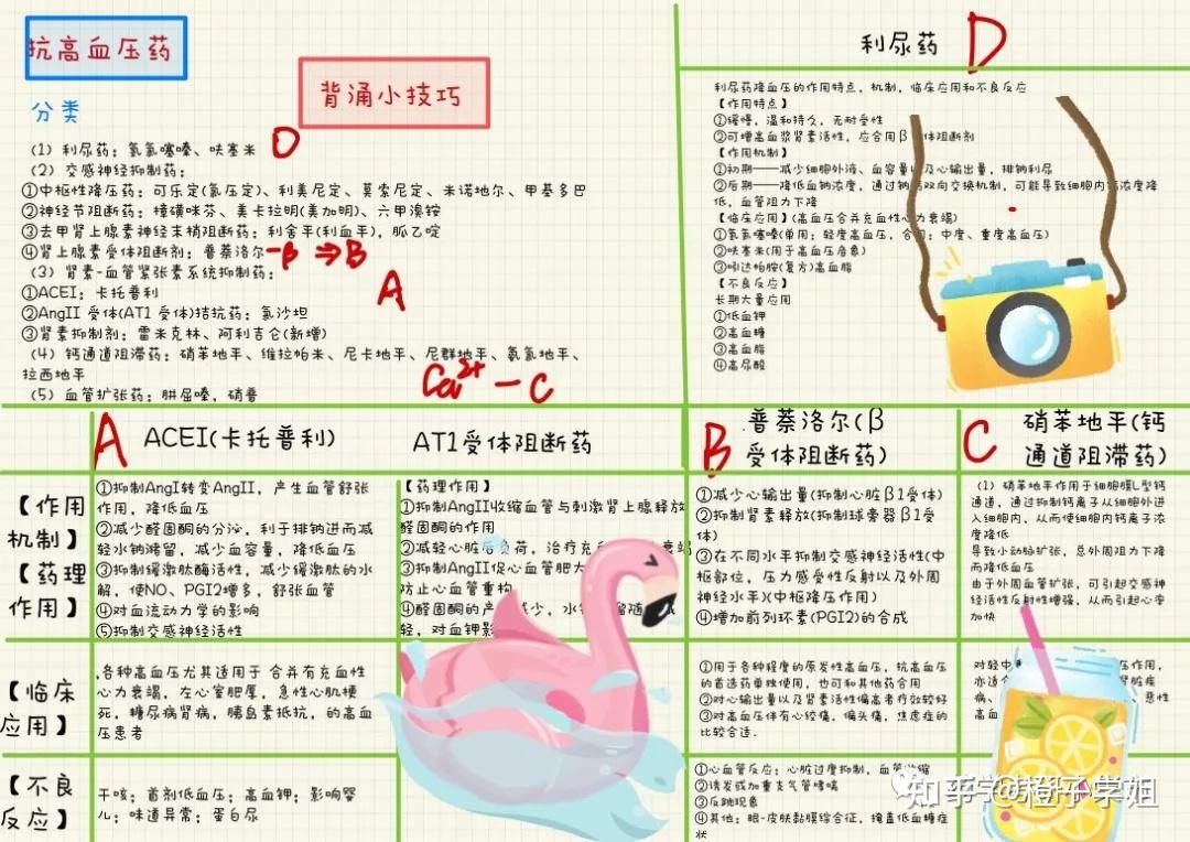 药理学背诵思维导图抗高血压药