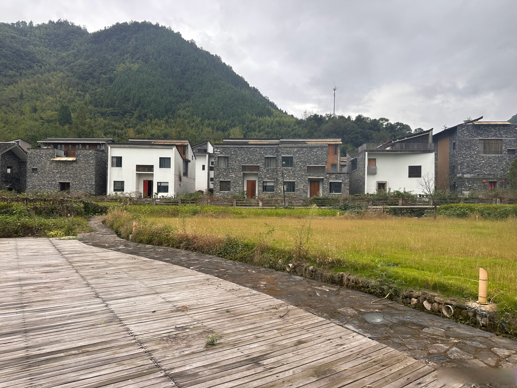 浙江富阳文村图片图片