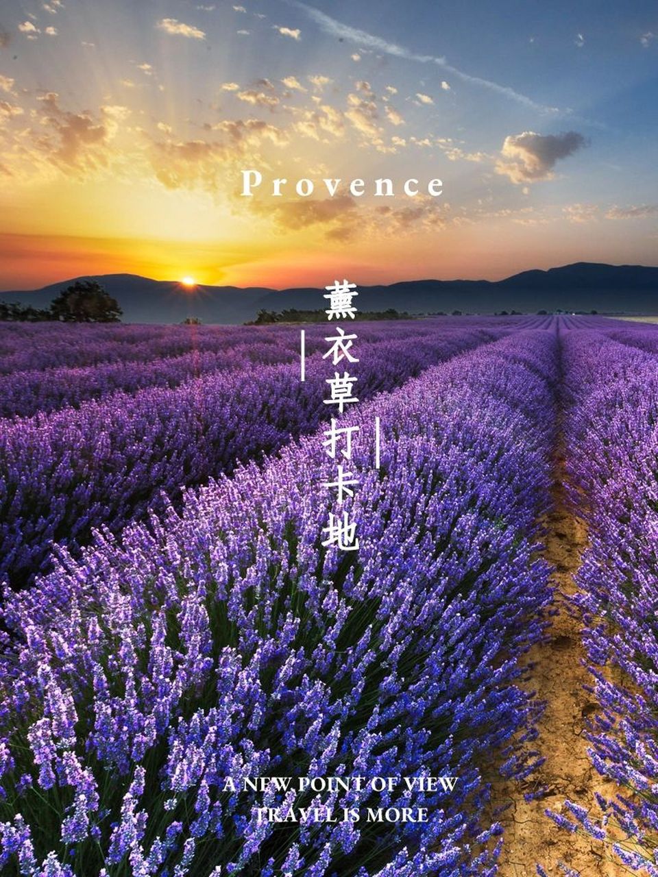 普罗旺斯薰衣草96观赏地|沉浸在紫色90花海 薰衣草 (lavender)的