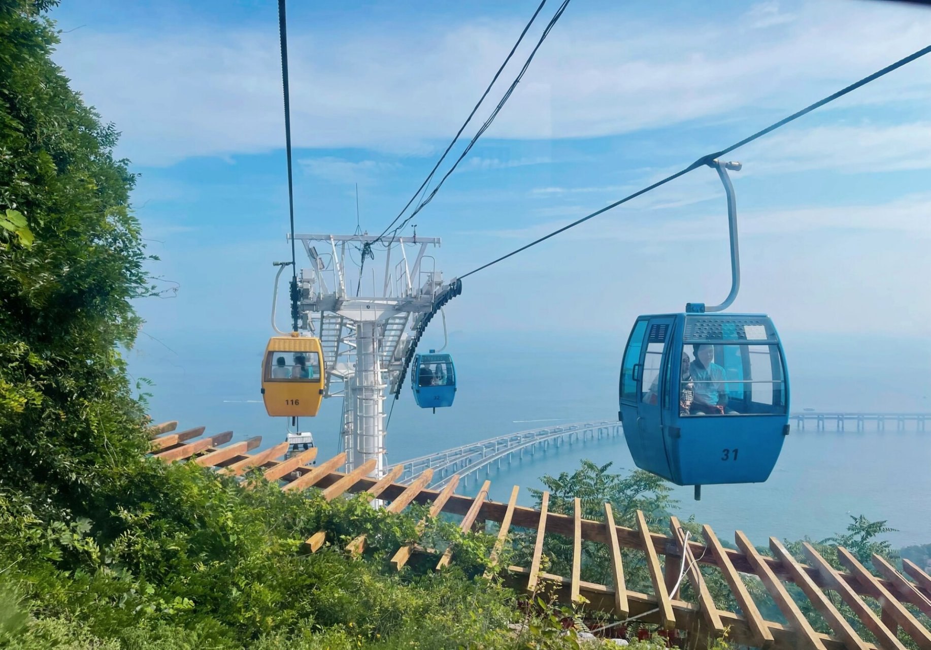 今日路线:海达索道 喂野生梅花鹿.