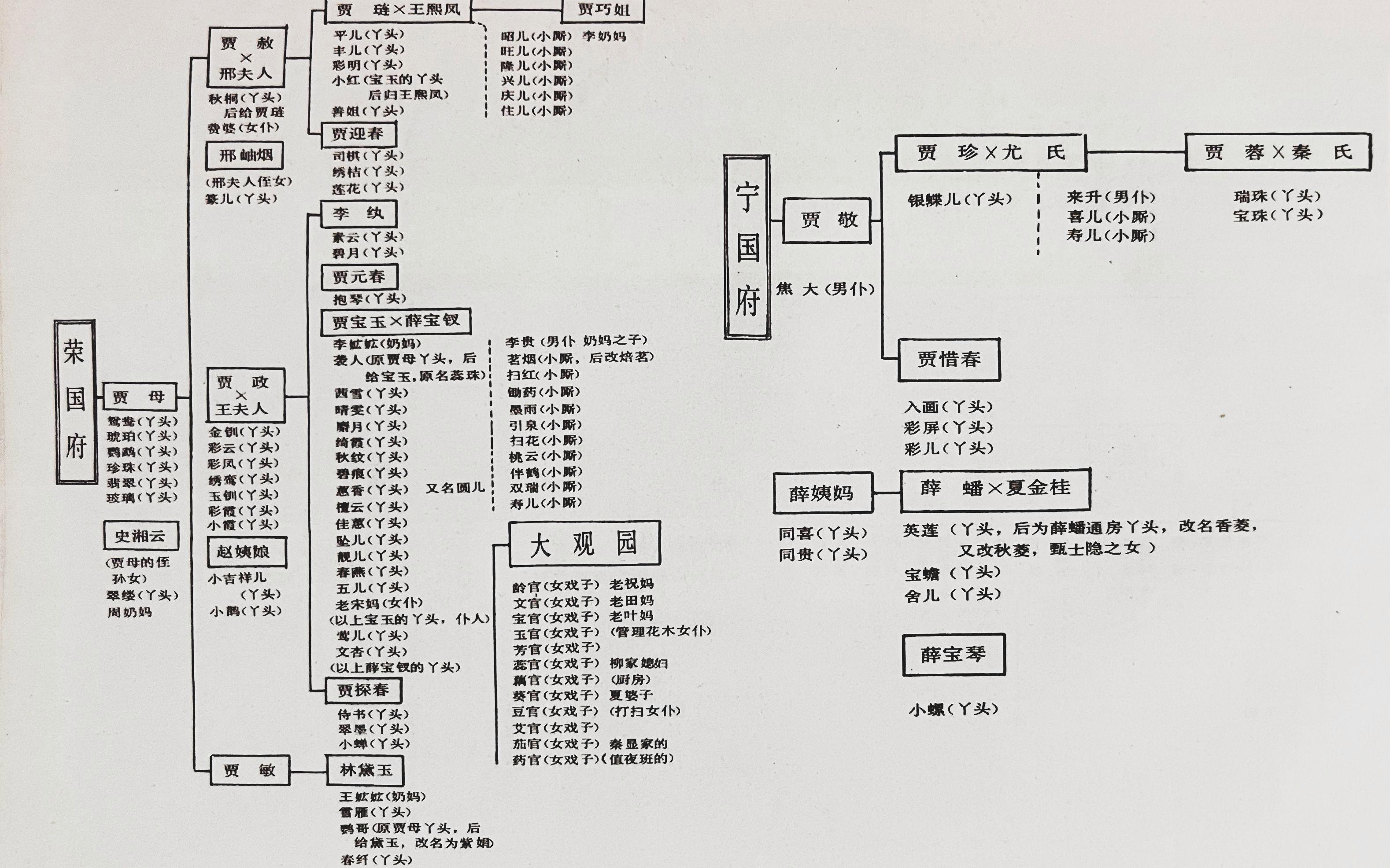 贾府人物关系图一览表图片