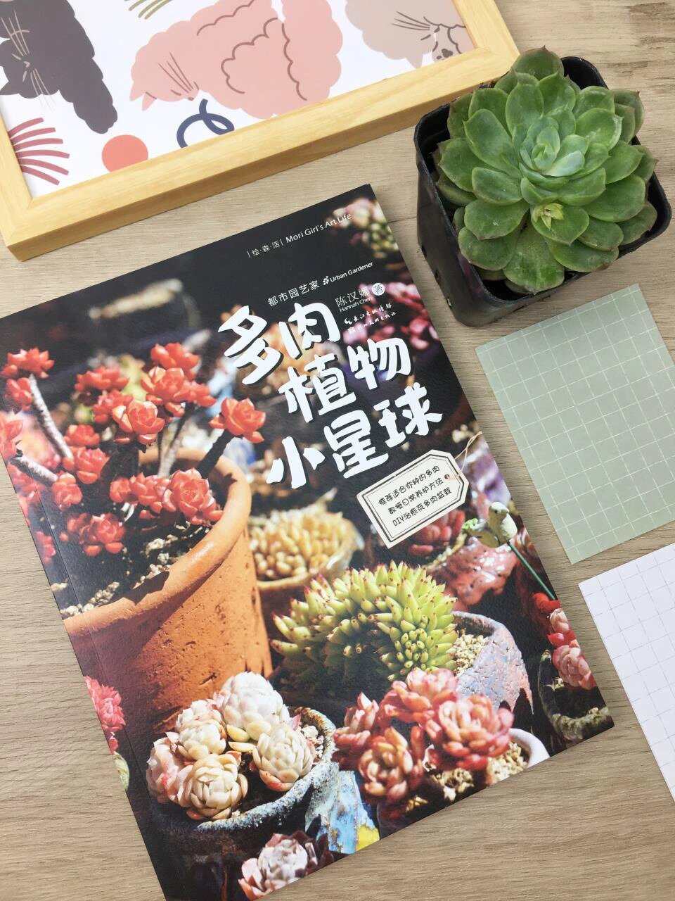 今天的花语-金银花 花语:诚实的爱 诚实的生活方式其实是按照自己身体