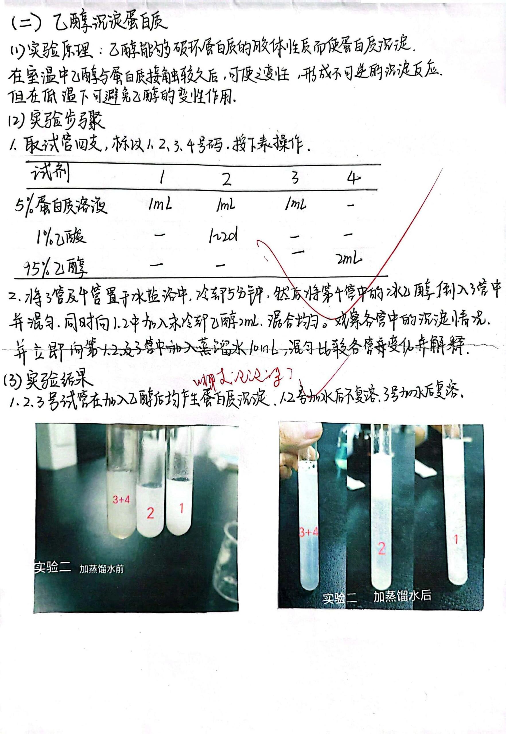 蛋白质的沉淀凝固实验报告