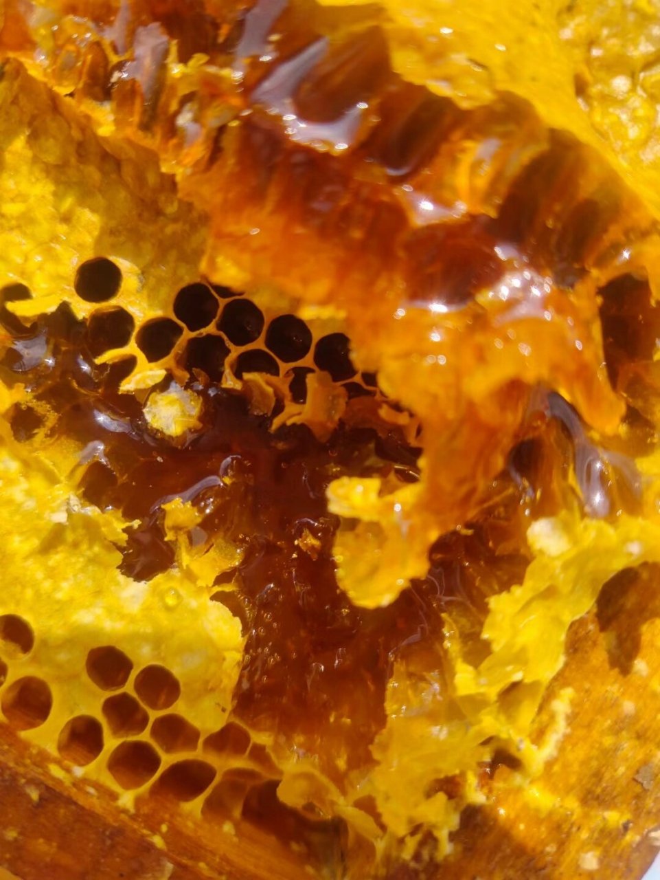 土蜂蜜结晶有颗粒感吗(土蜂蜜有结晶的好还是没结晶的好)