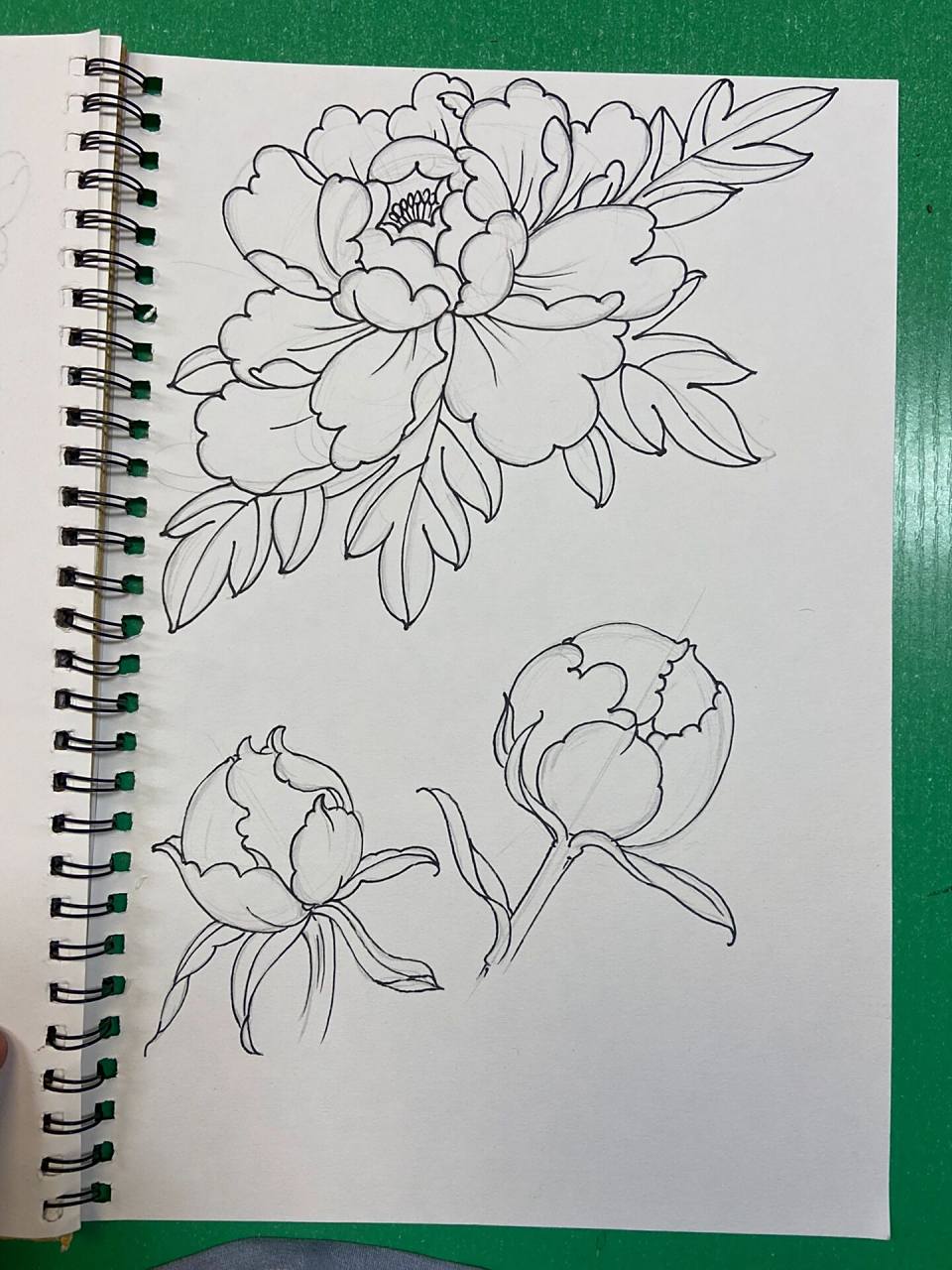 牡丹花的练习图!