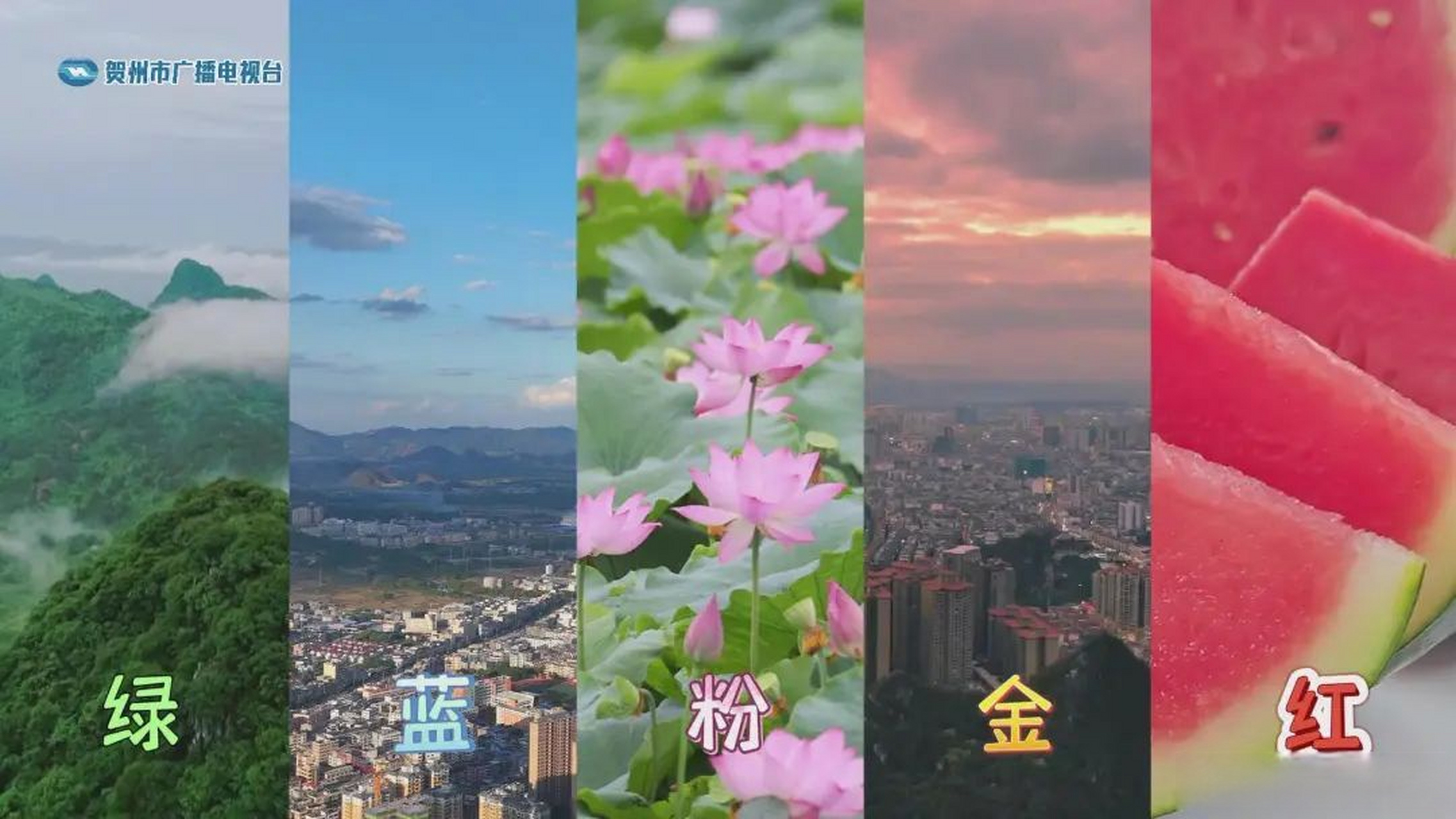 在你眼中,夏天是什么颜色?是生机盎然的绿?是一碧如洗的蓝?