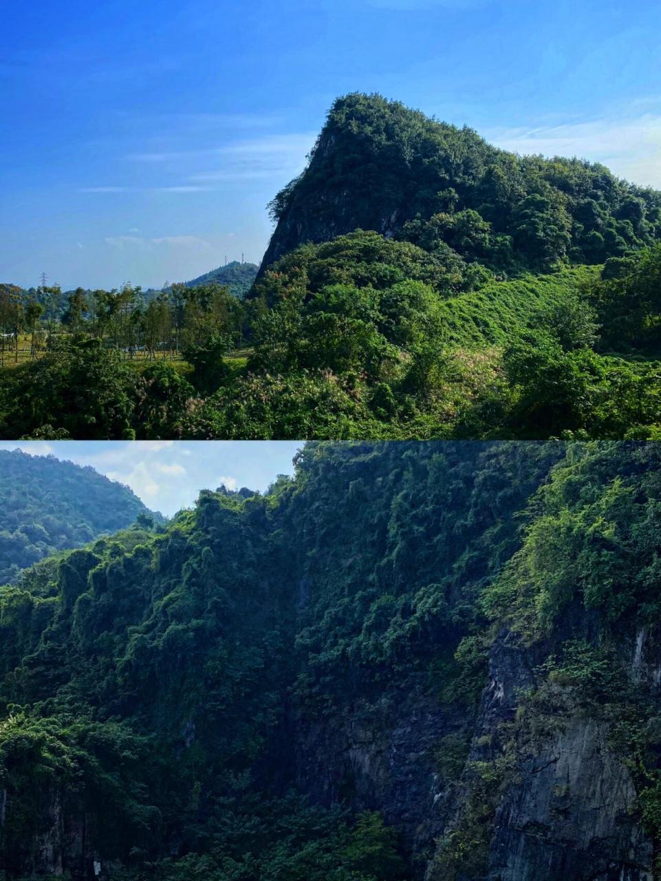 99地址:景区位于九龙坡玉清寺后面的中梁山上,直接导航"重庆花博园"