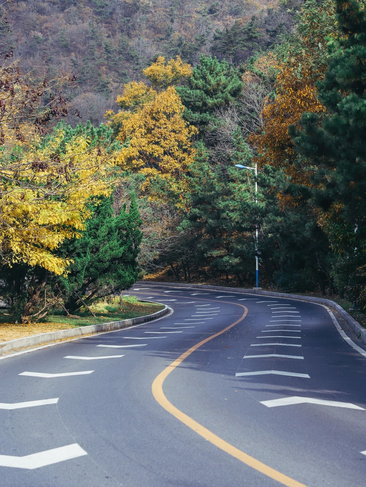 大连滨海路 | 强推懒人一日游玩路线攻略 大连99最美公路滨海路