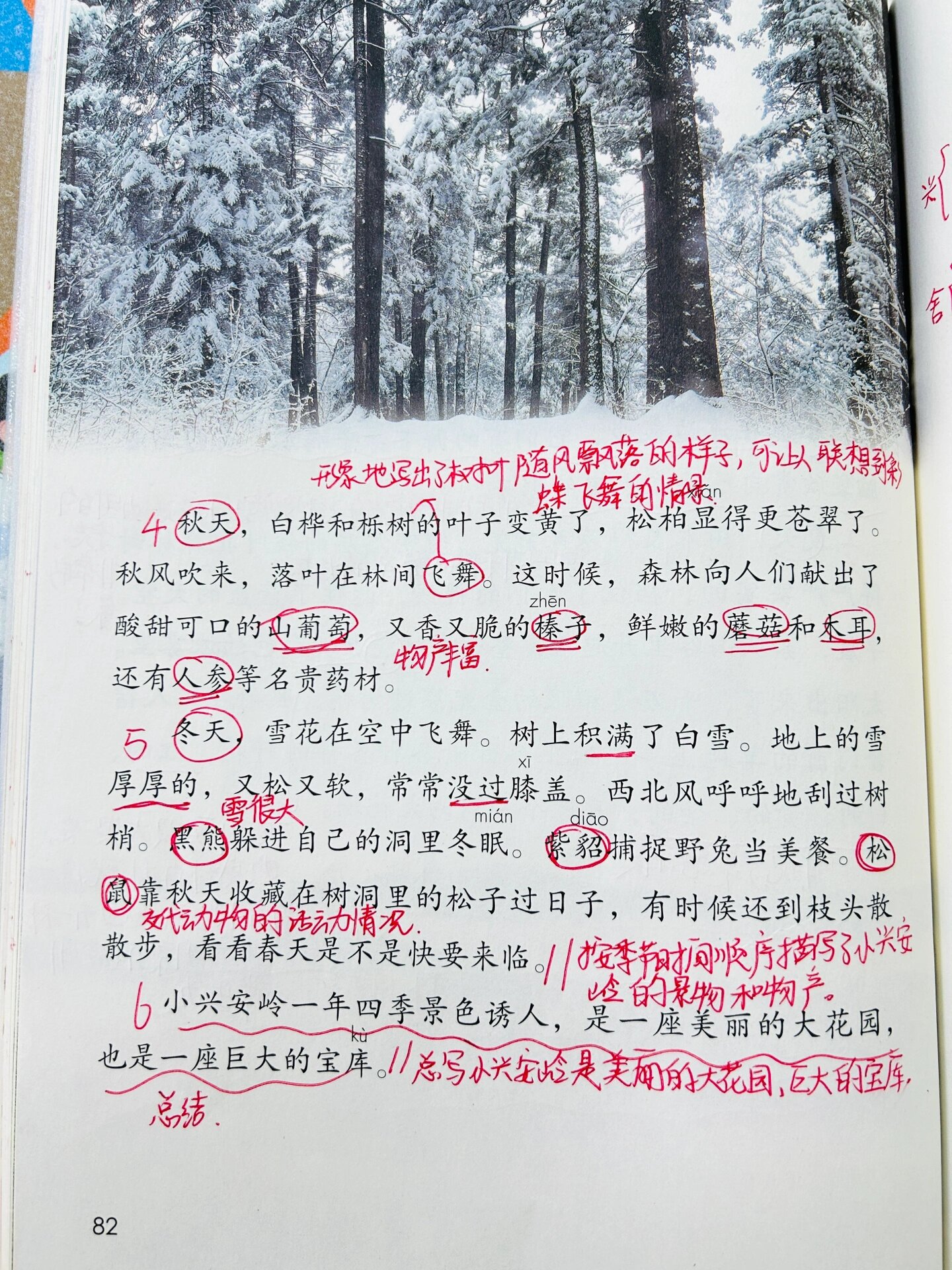 三年级上册语文备课第20《美丽的小兴安岭》 #三年级上册语文备课