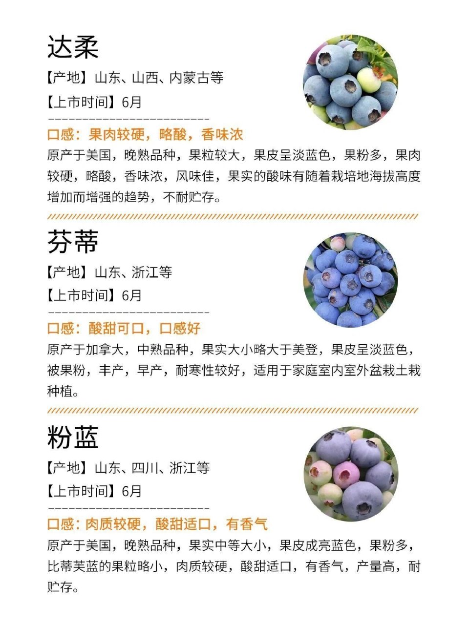国内常见的蓝莓品种有很多,以下是一些主要的品种及其产地,成熟期和