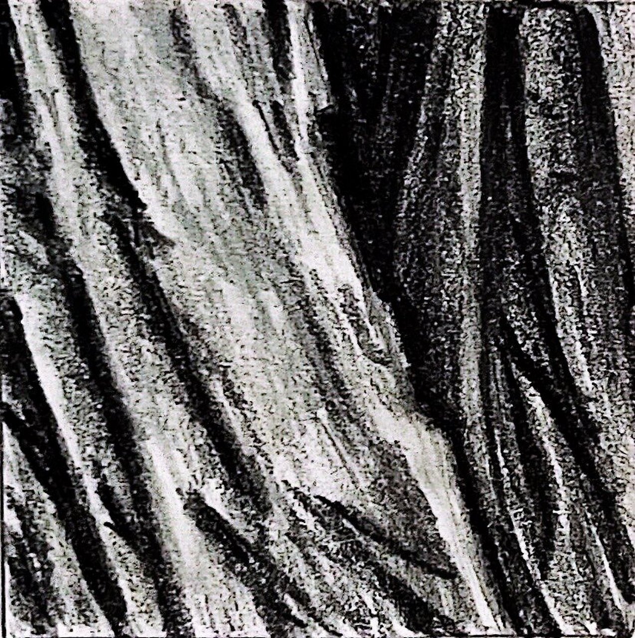 7315 素描肌理练习 之 树皮 尺寸 3.5x3.