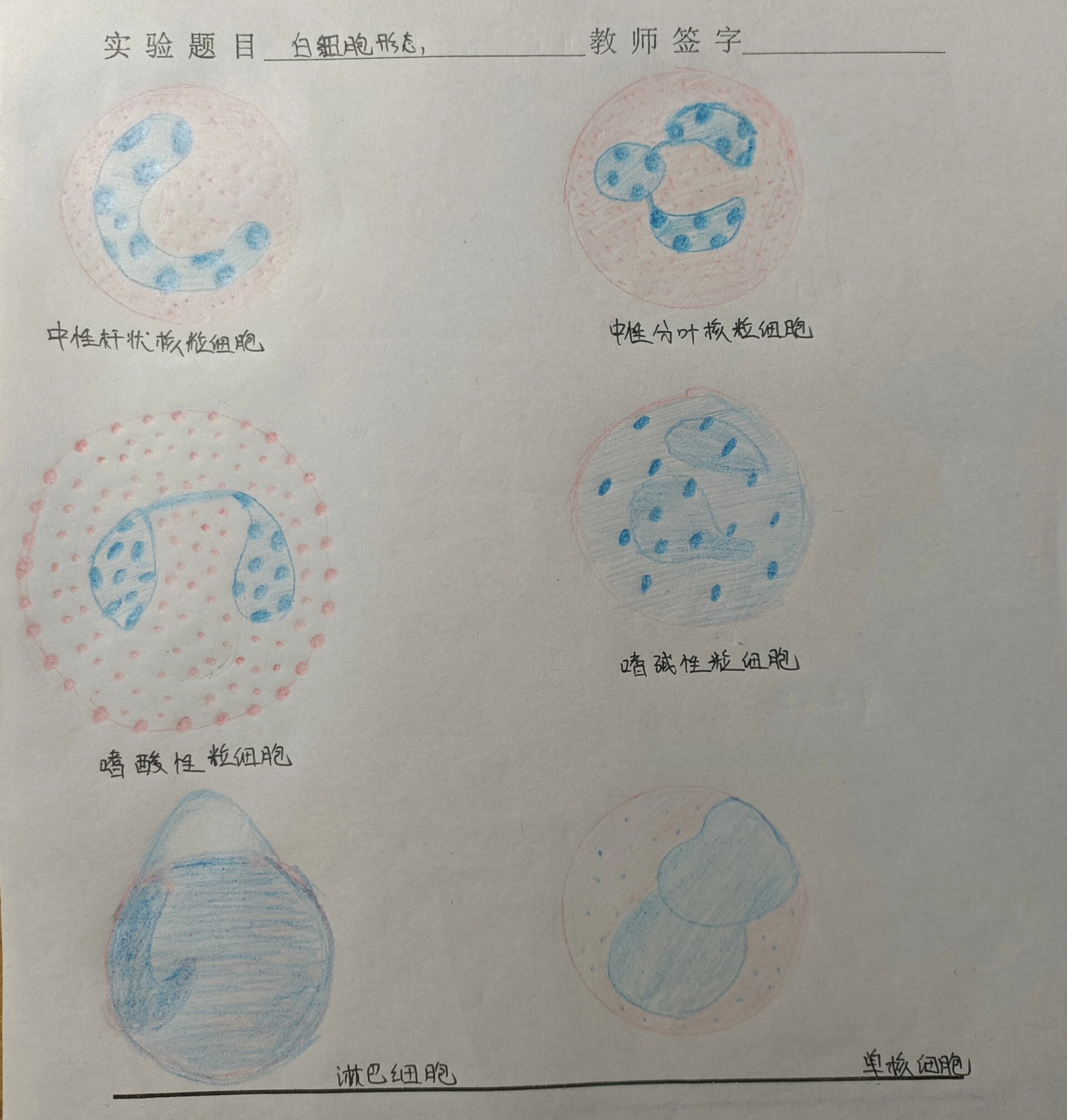 一支红蓝铅笔一个奇迹