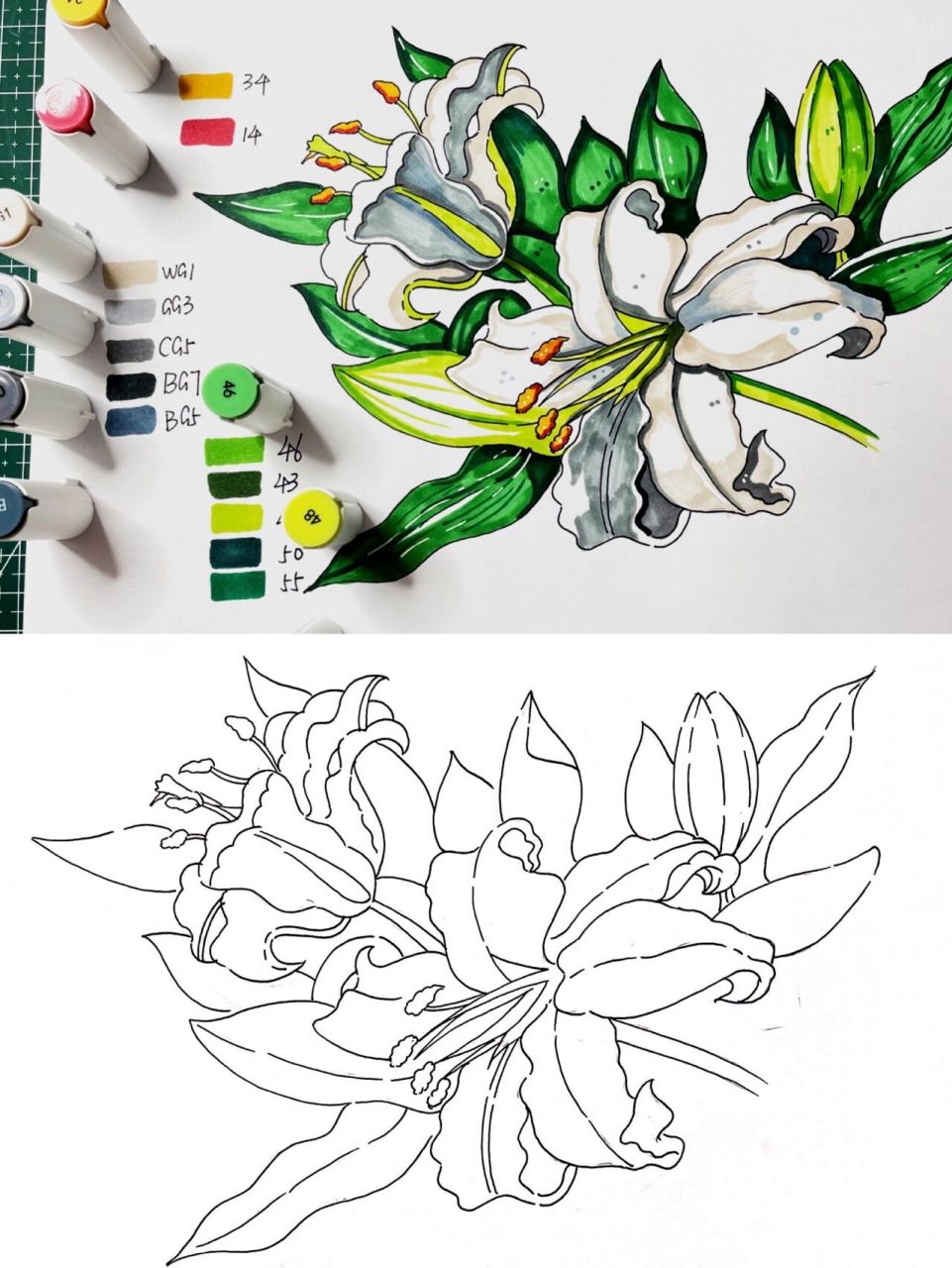 马克笔花卉类手绘|百合花|含线稿色号 希望大家每一天的生活都可以