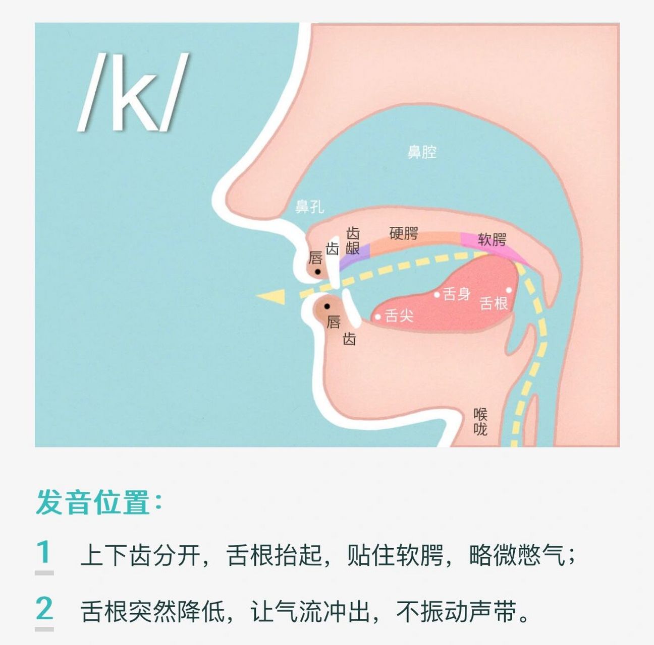 单元音舌位图图片