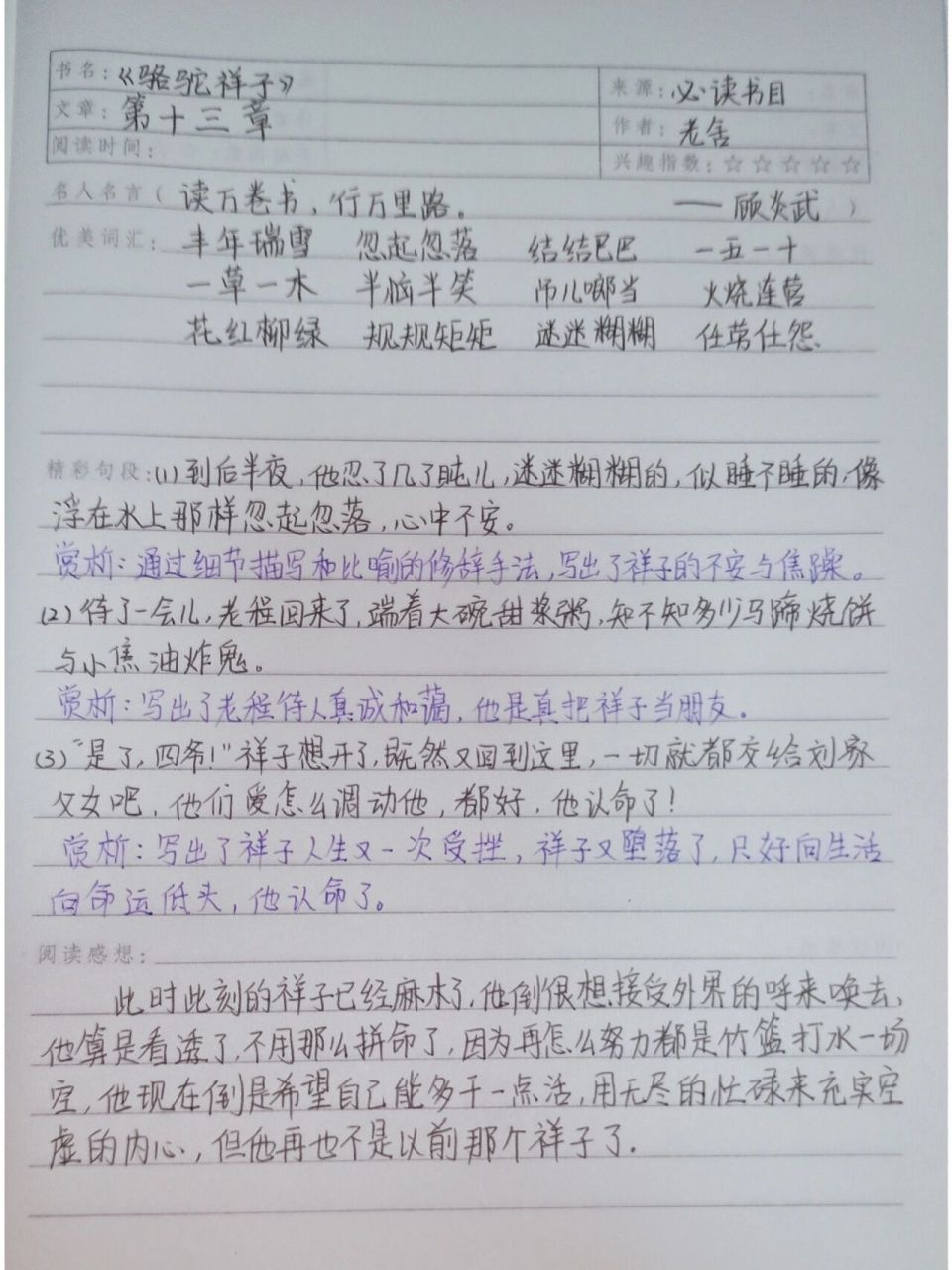 《骆驼祥子》读书笔记 第十二~十三章