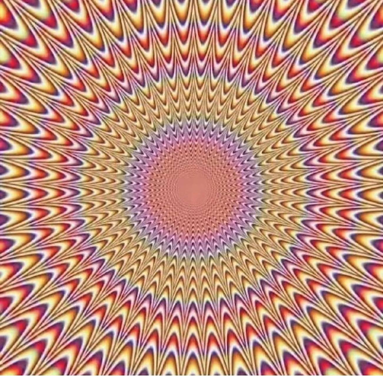 盘点会动的图片