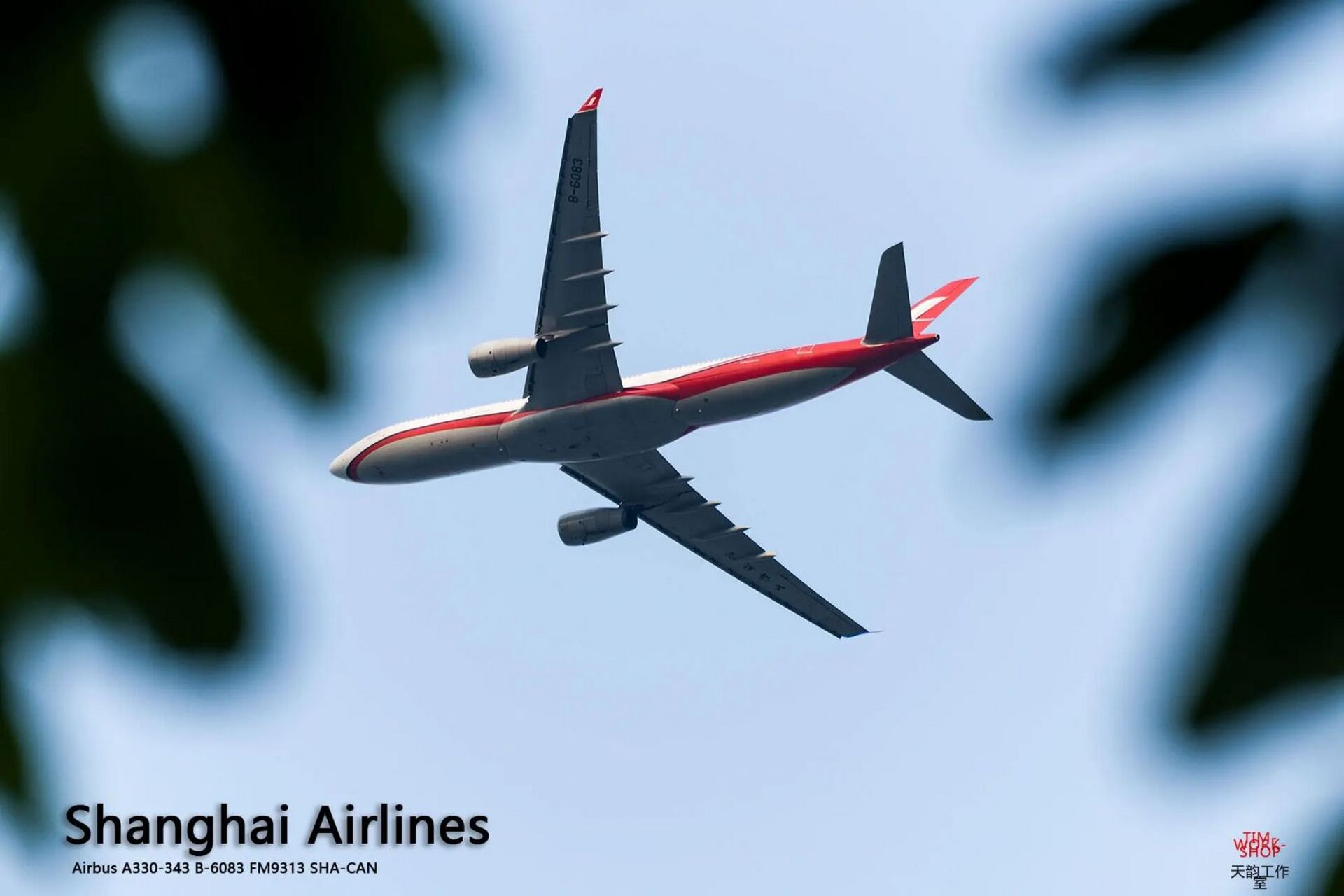 上航a330 #航空# #飞机拍摄# #民航# #上海航空# #空客# #空客a330