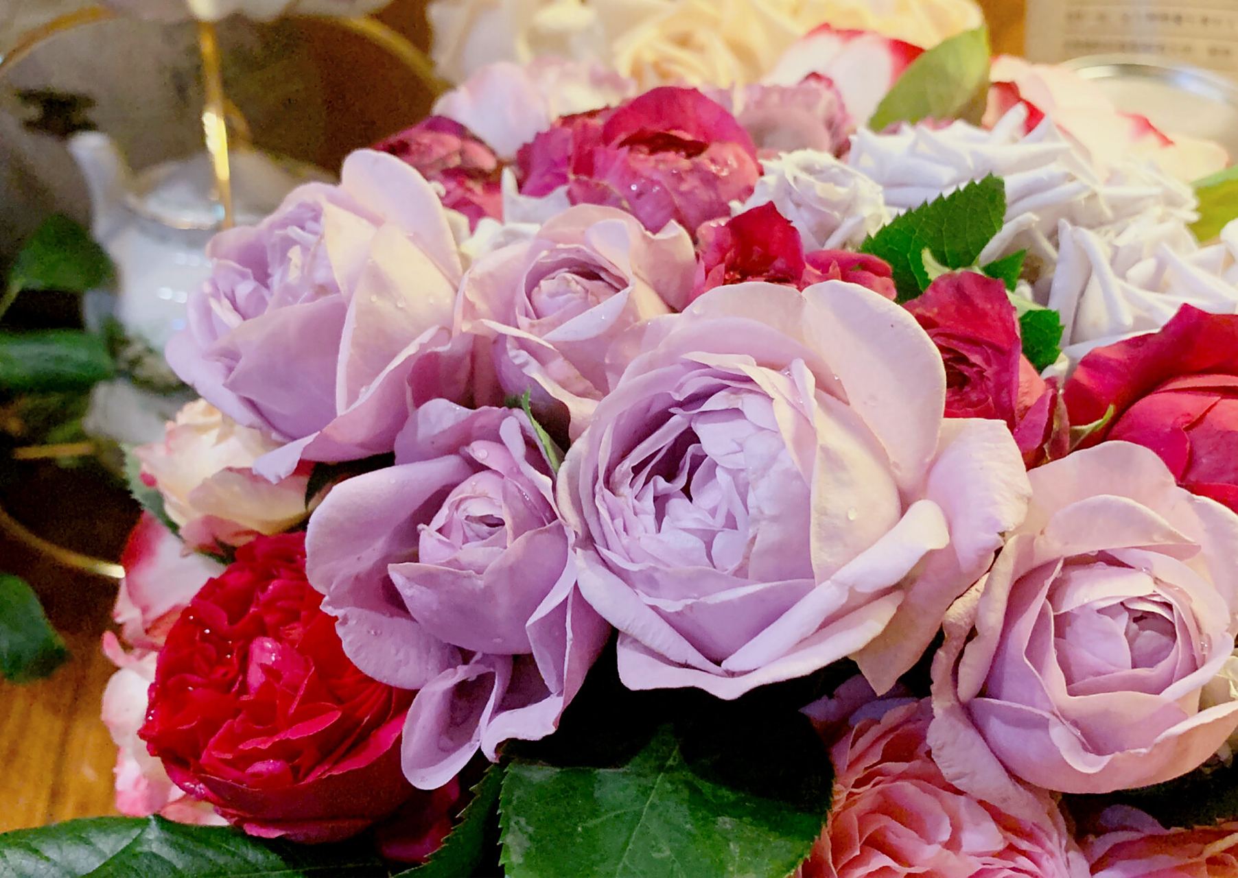 薰衣草蕾丝月季95 收获一堆小可爱啦!