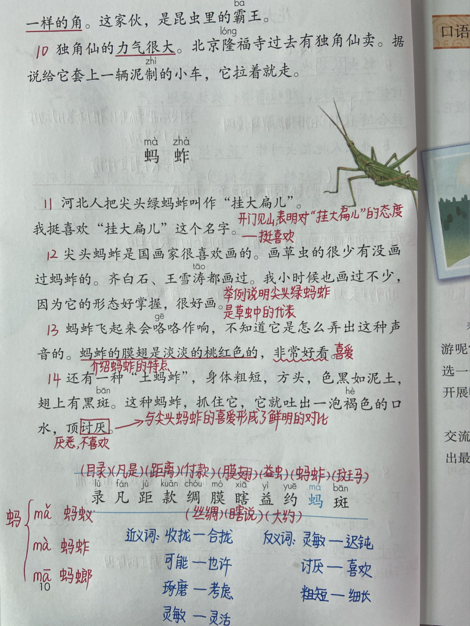 三年级语文下册 第4课《昆虫备忘录》课堂笔记