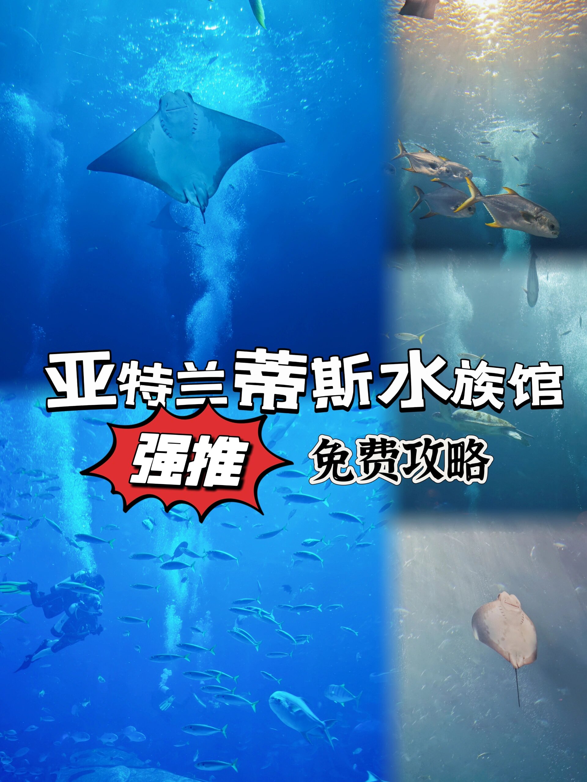 亚特兰蒂斯水族馆介绍图片