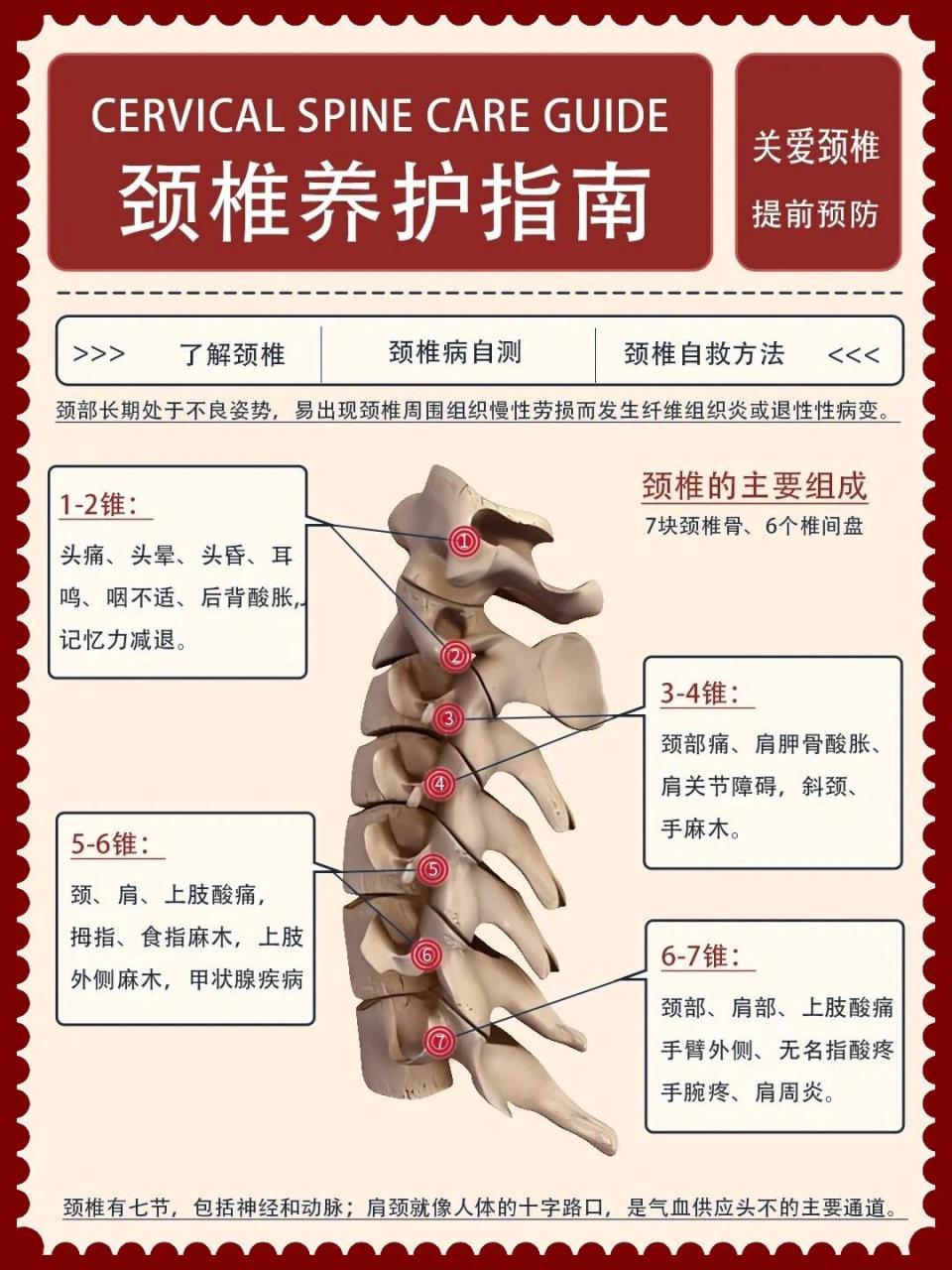 颈椎对应反射区位置图图片