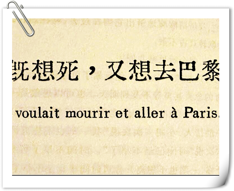 爱玛是一位心中充满浪漫幻想的乡村姑娘,她不满足于平凡的生活,向往