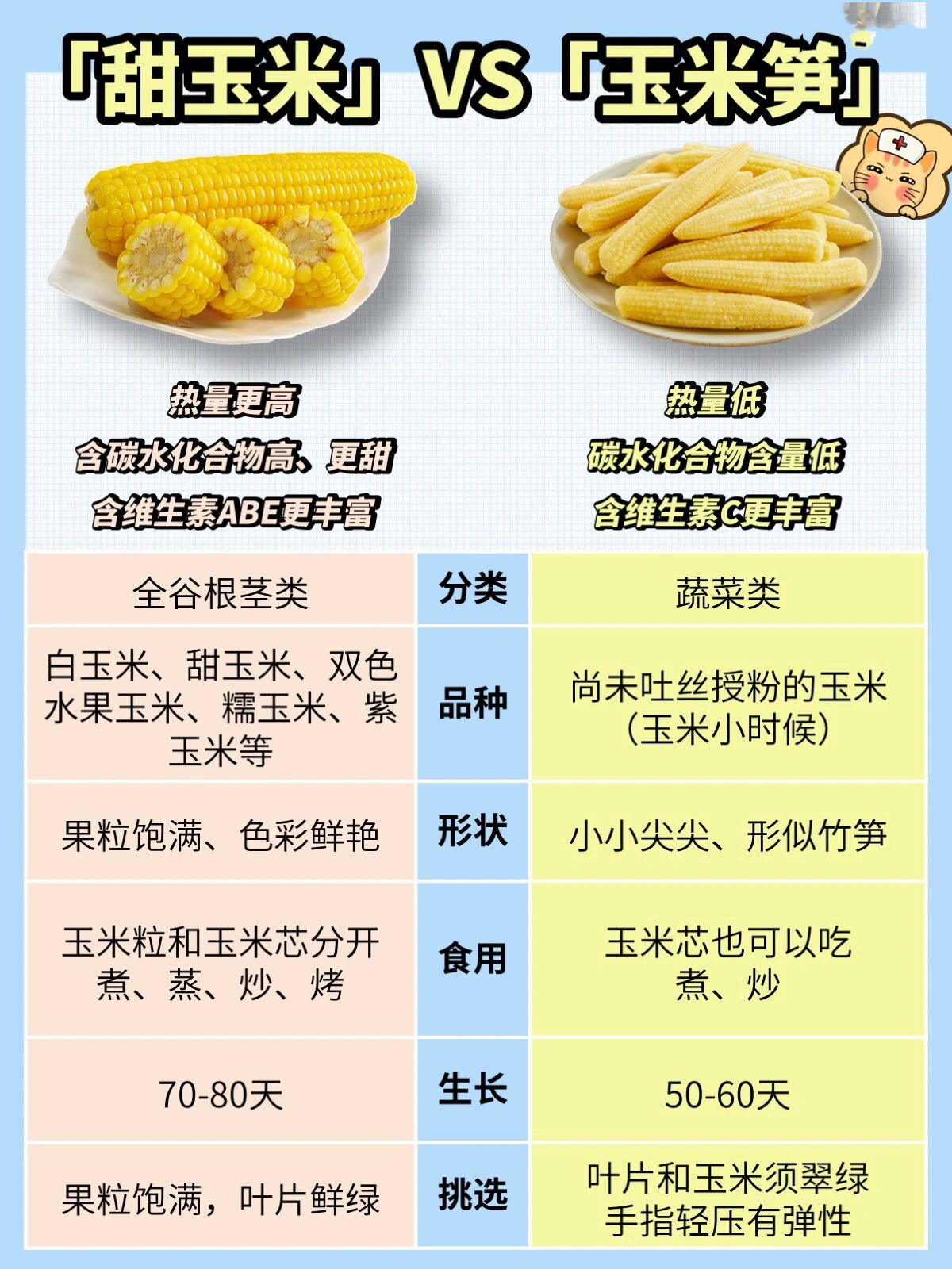 玉米90玉米笋,谁营养高?谁更适合减肥