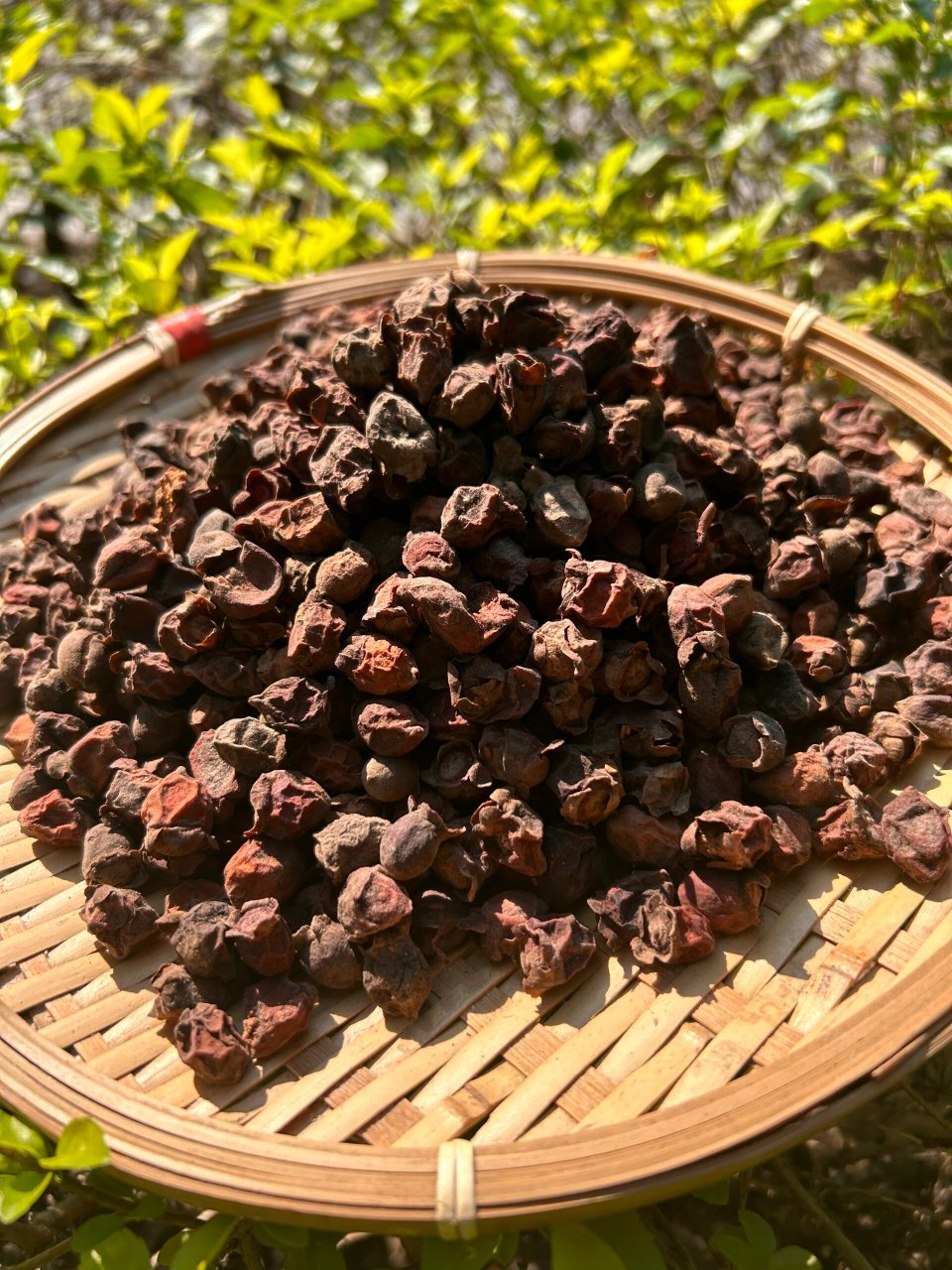 多尼干也叫桃金娘 多尼干也叫桃金娘, 炖汤,泡酒 煮茶水都可以 166