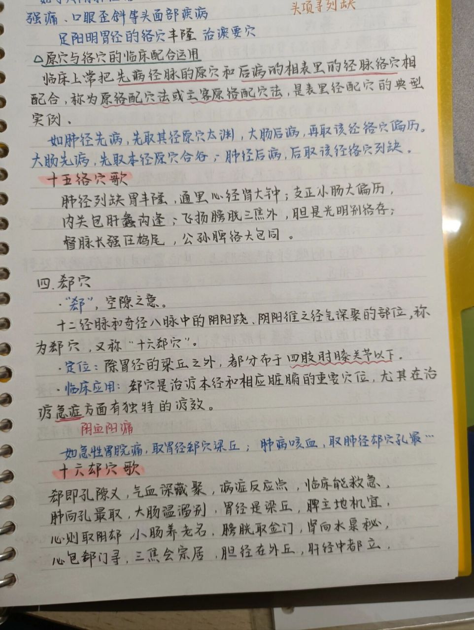 《针灸学》笔记分享⑥ 96今天还是特定穴!