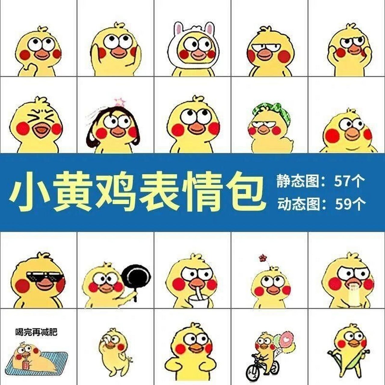 小黄鸡表情包:4r=57静态 59个动态 247个