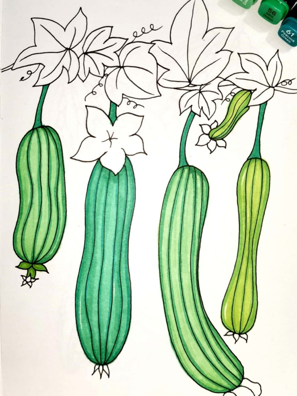 马克笔手绘蔬菜 丝瓜 创意儿童画 简笔画