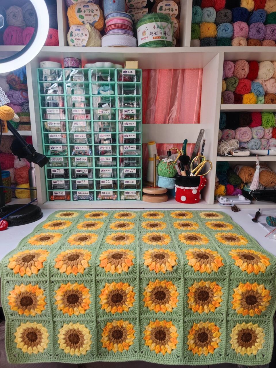 0 线材:雪五 第一次钩毯子,拼接,终于完成了