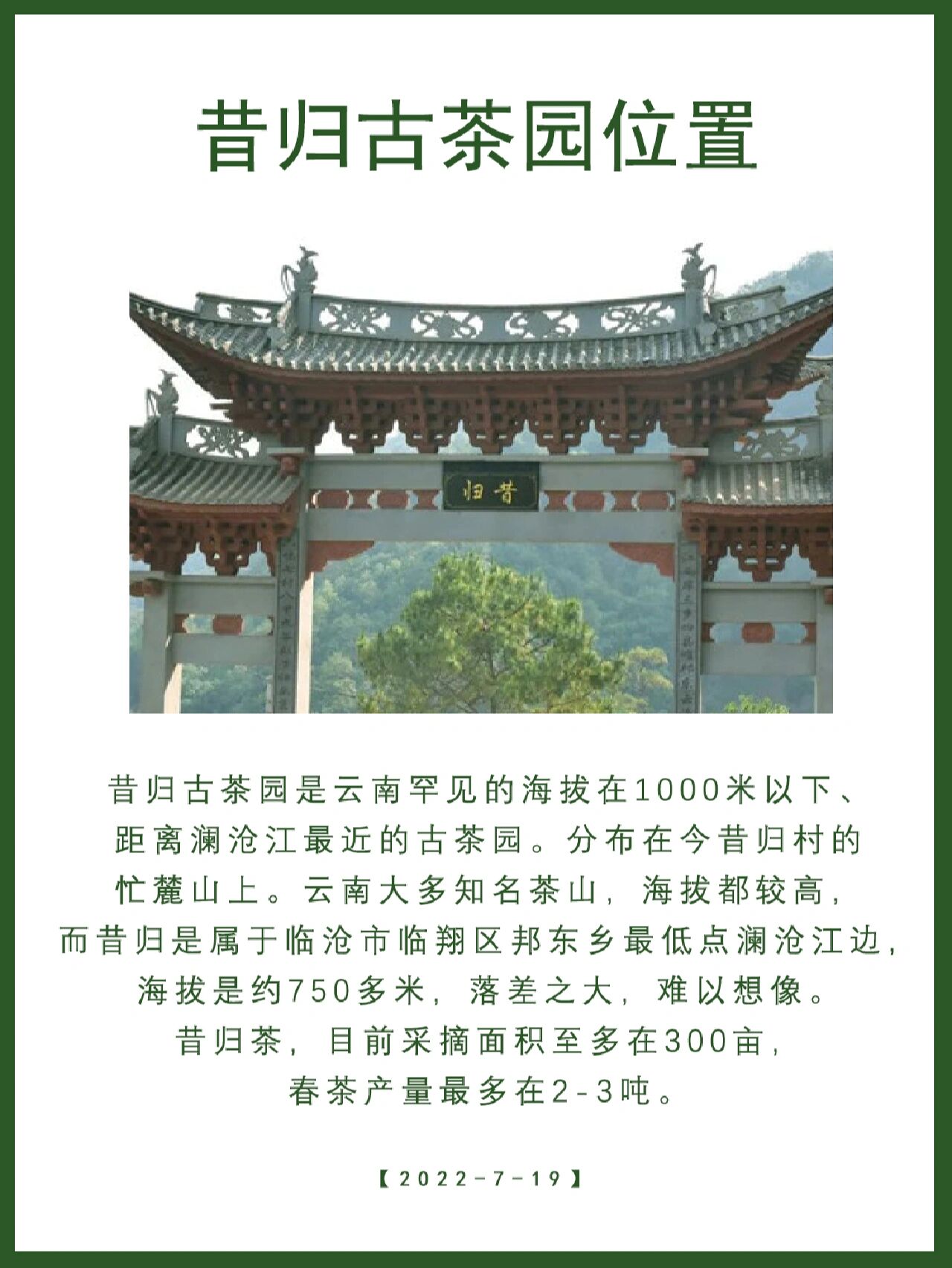 5点彻底搞懂普洱茶山头:昔归