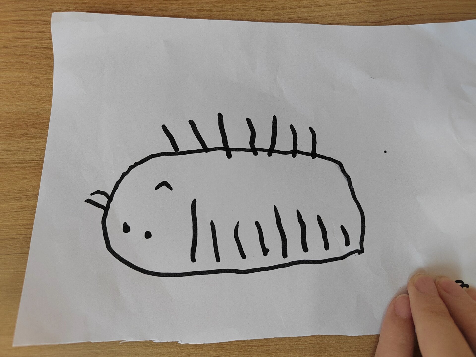 西瓜虫简笔画@浅若风笑的动态