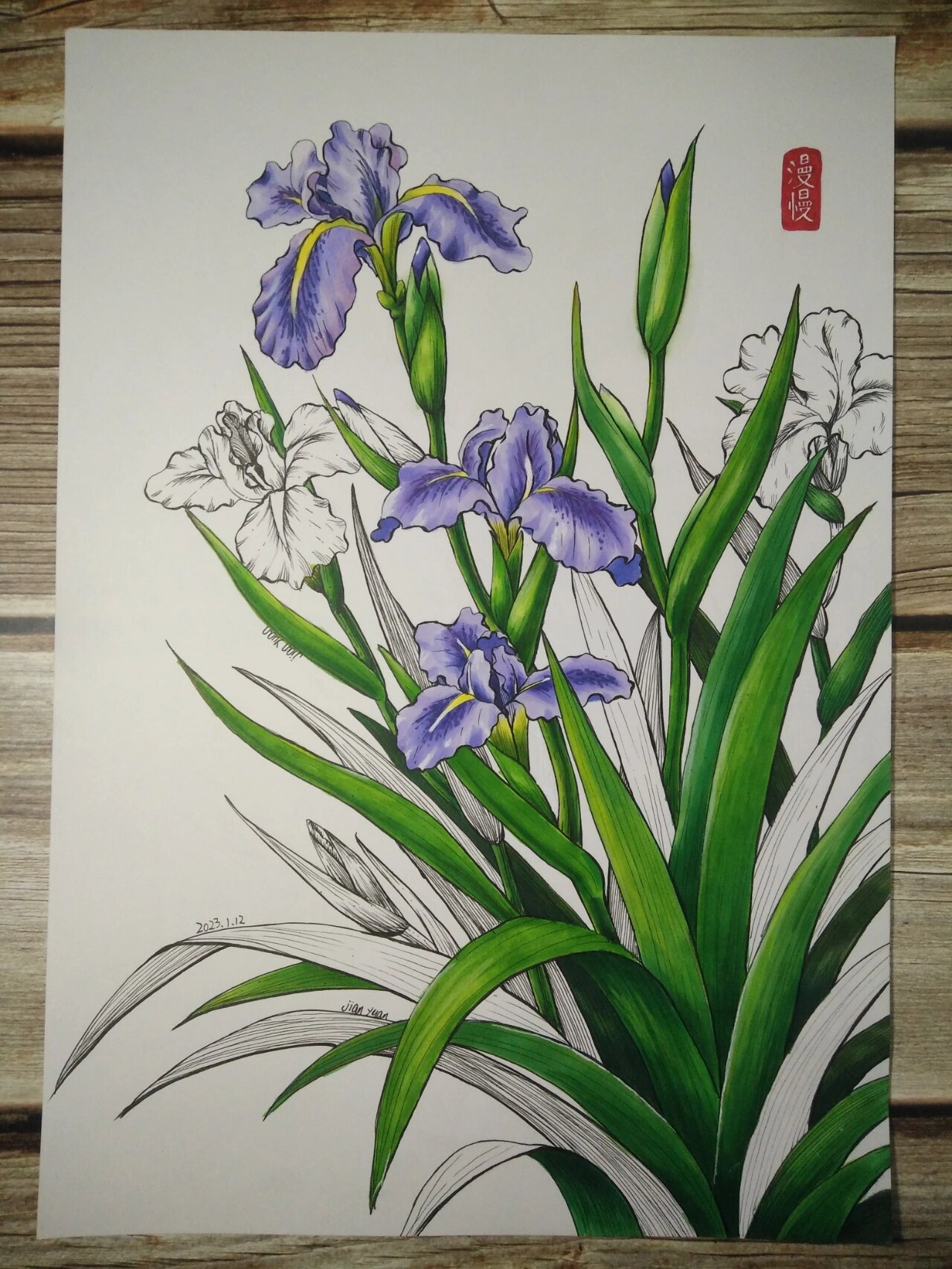 鸢尾花绘画马克笔线描插画装饰画原创