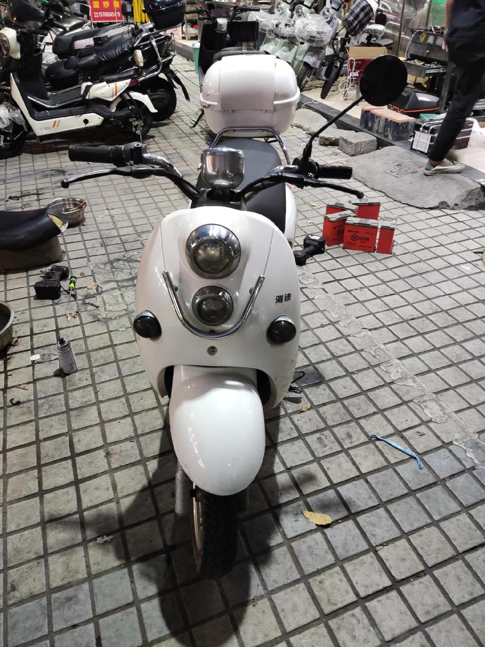 雅迪!白色!小绵羊!